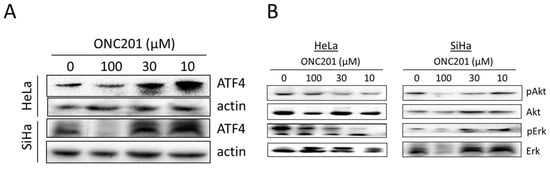 Biomolecules 15 00463 g003