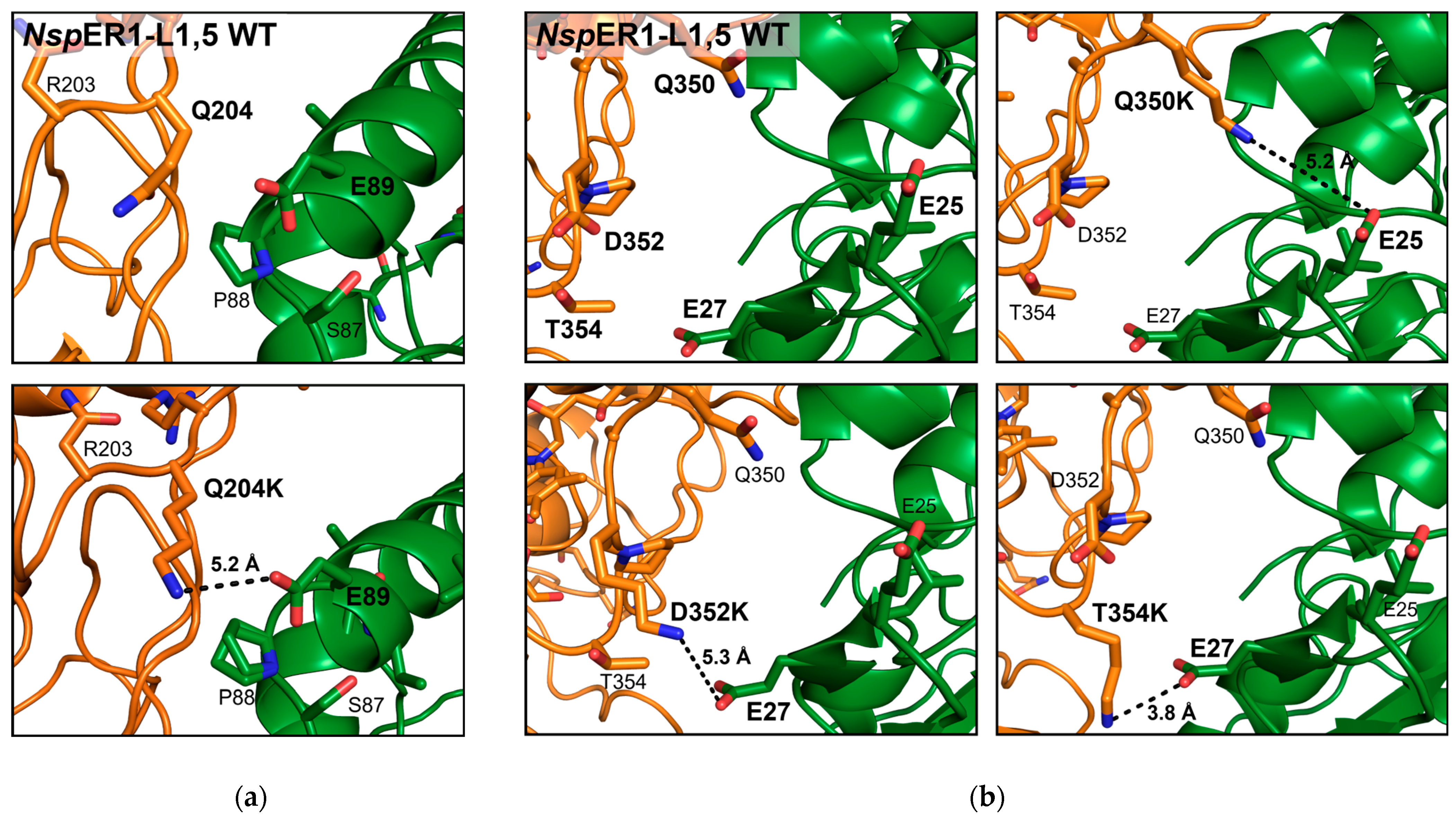 Biomolecules 15 00467 g001 Biomolecules 15 00467 g001