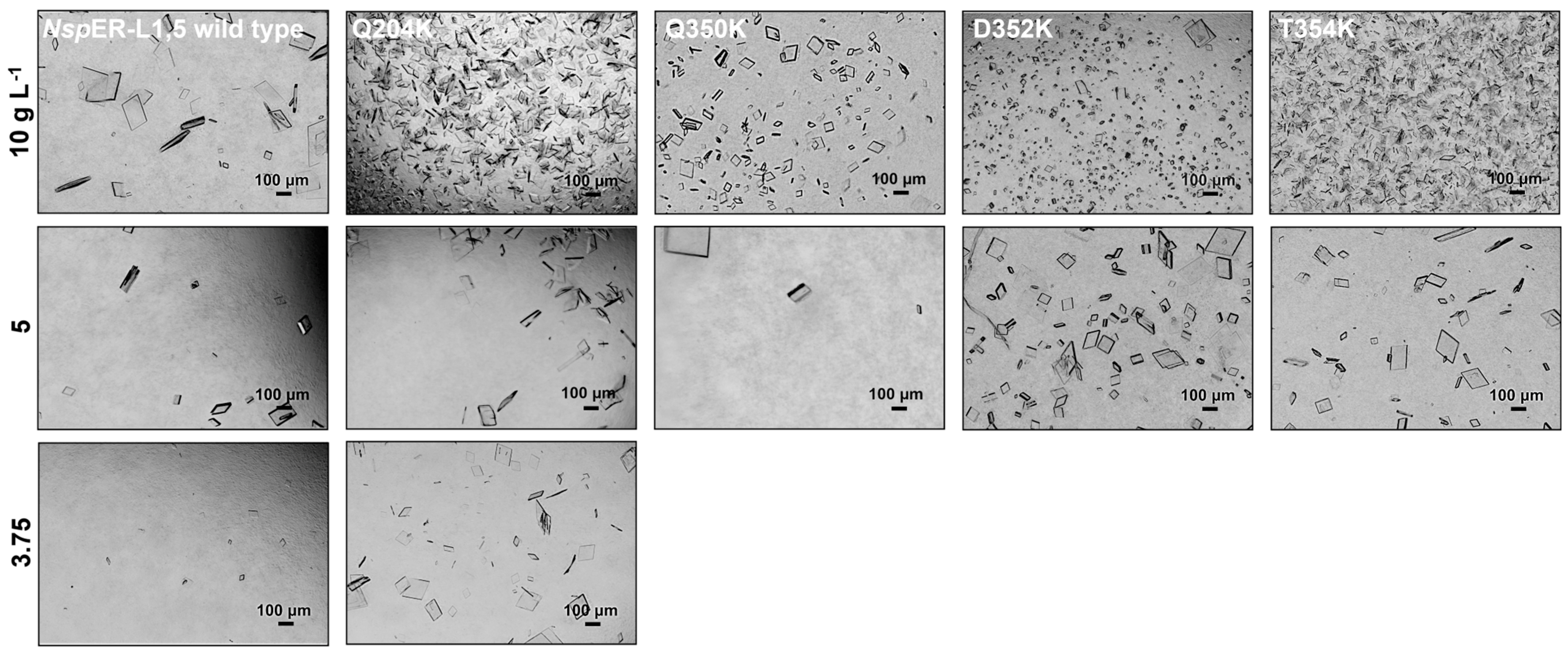 Biomolecules 15 00467 g002 Biomolecules 15 00467 g002