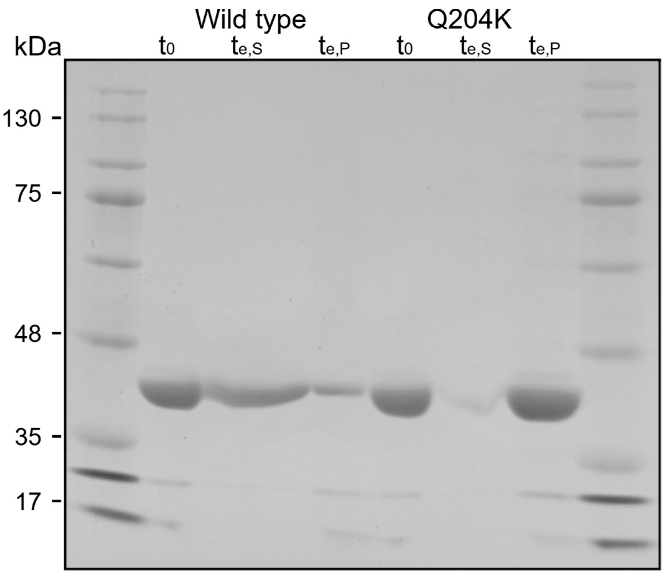 Biomolecules 15 00467 g005 Biomolecules 15 00467 g005
