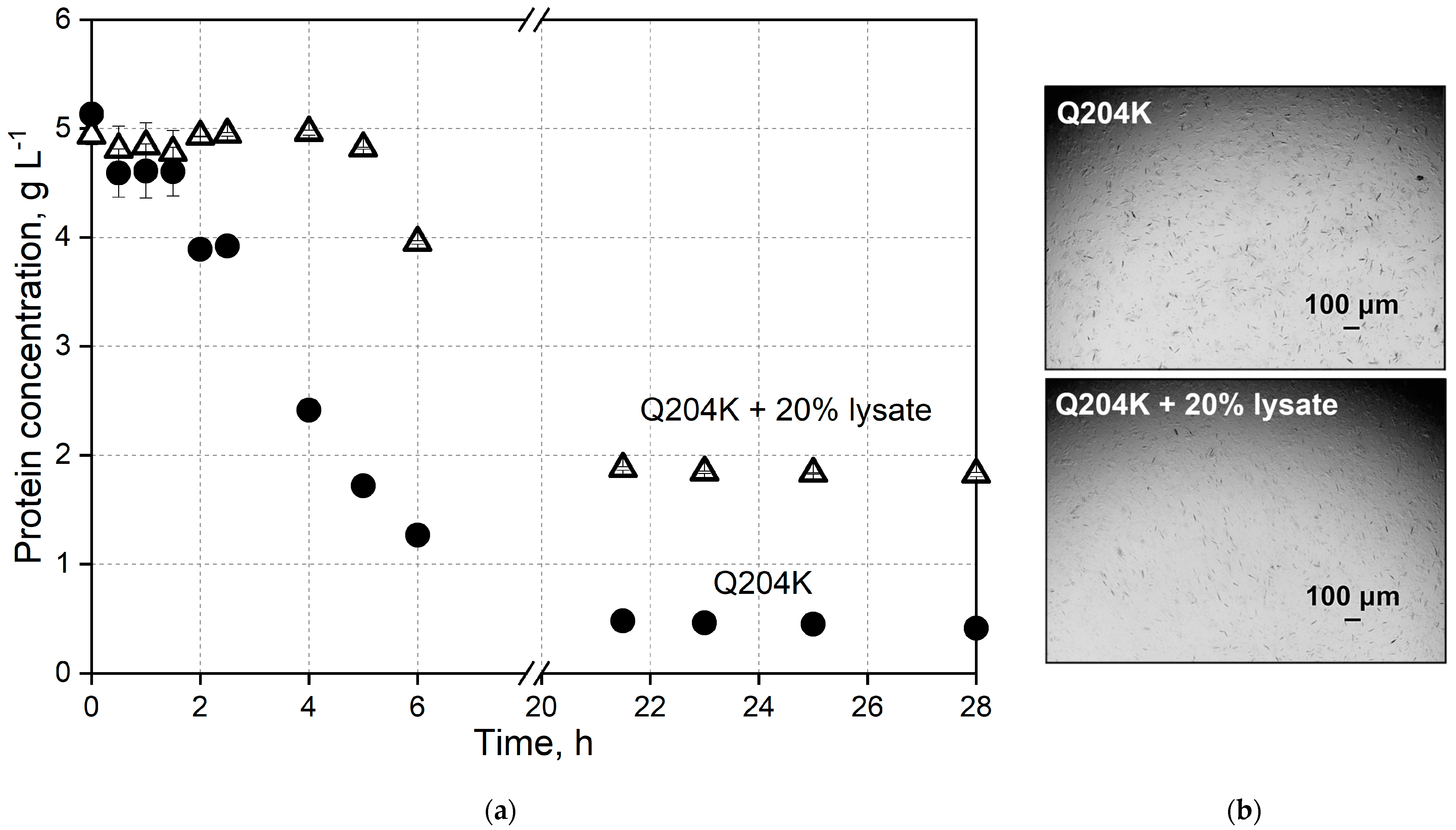 Biomolecules 15 00467 g007 Biomolecules 15 00467 g007