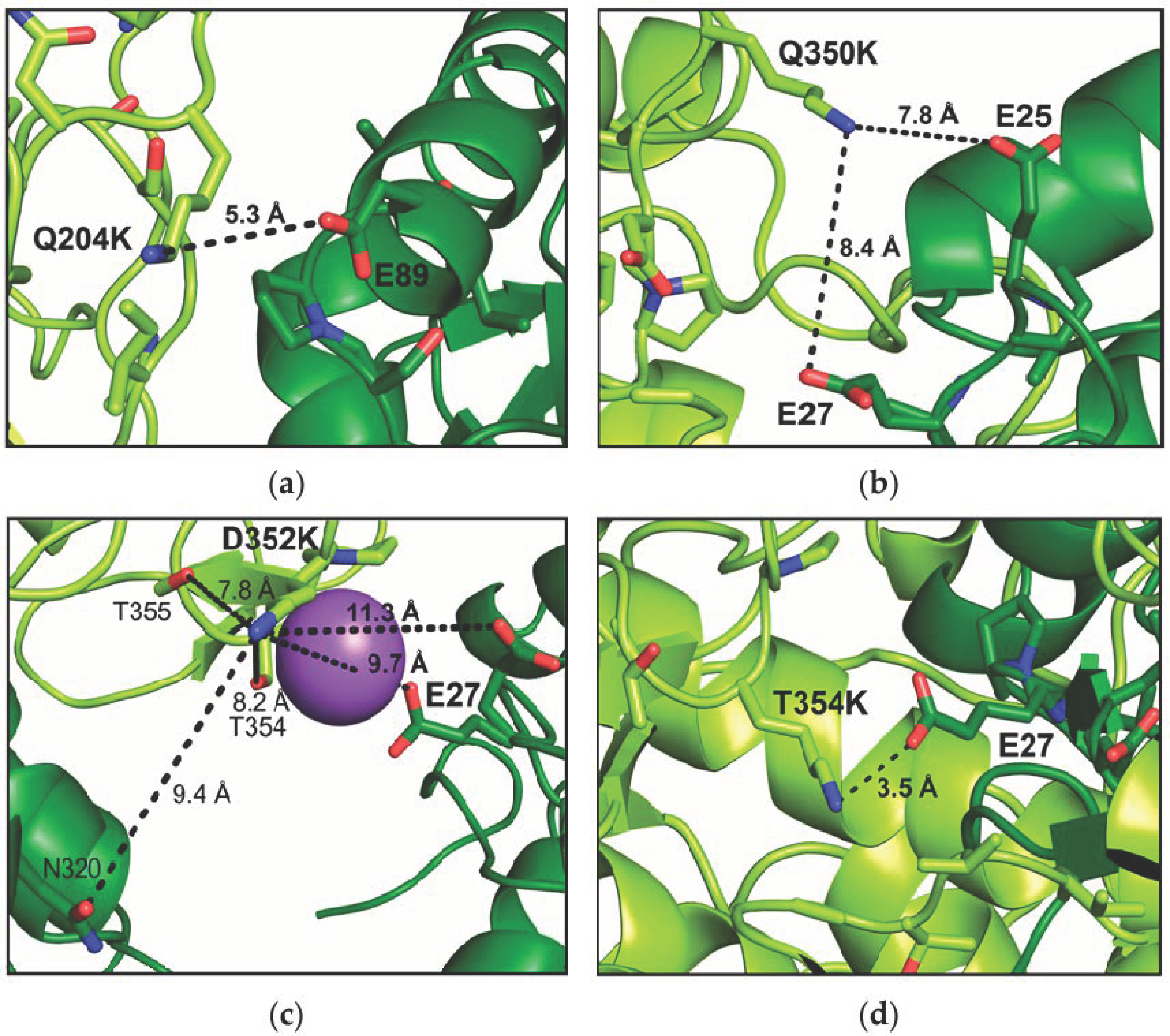 Biomolecules 15 00467 g008 Biomolecules 15 00467 g008