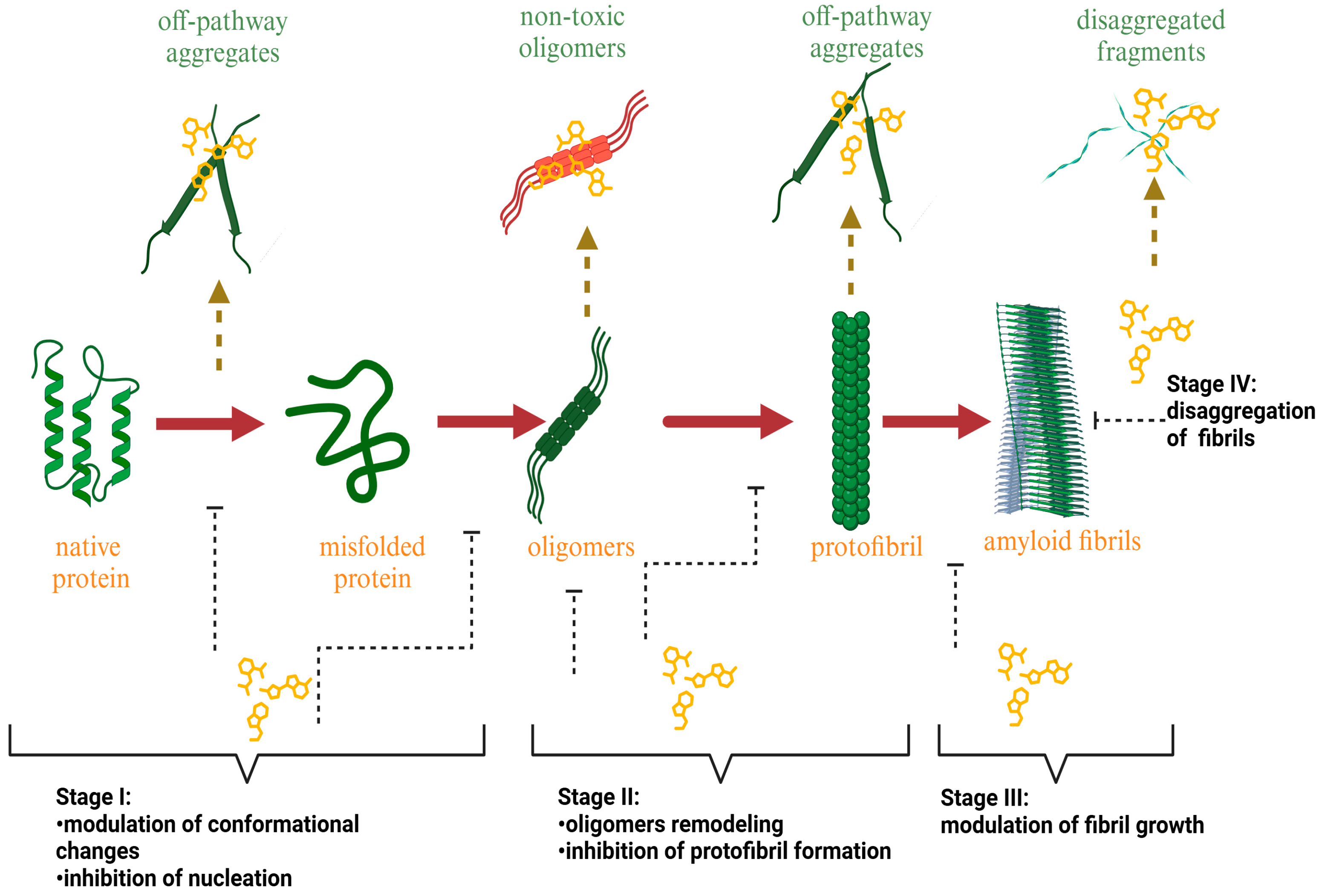 Biomolecules 15 00481 g001