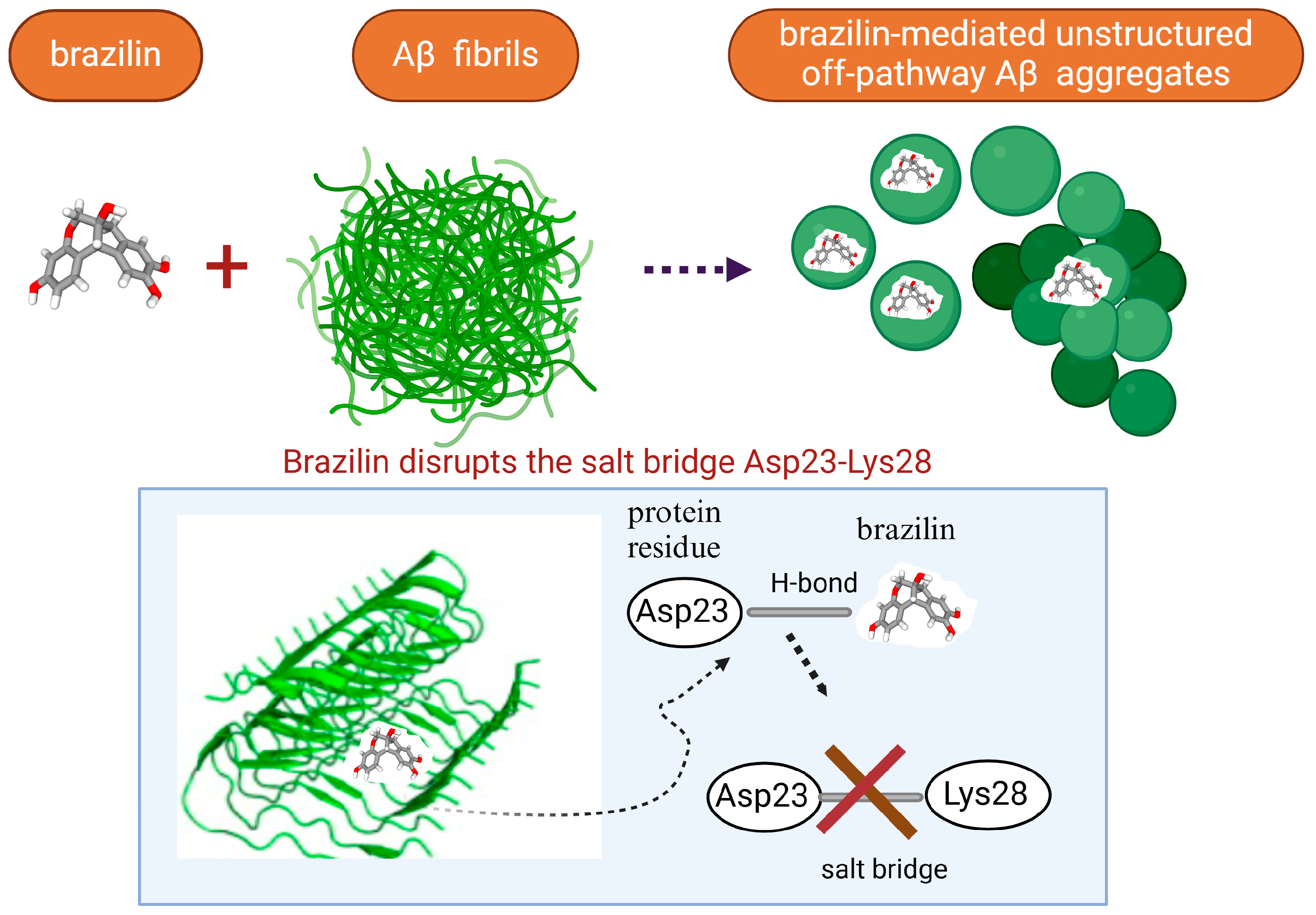Biomolecules 15 00481 g002