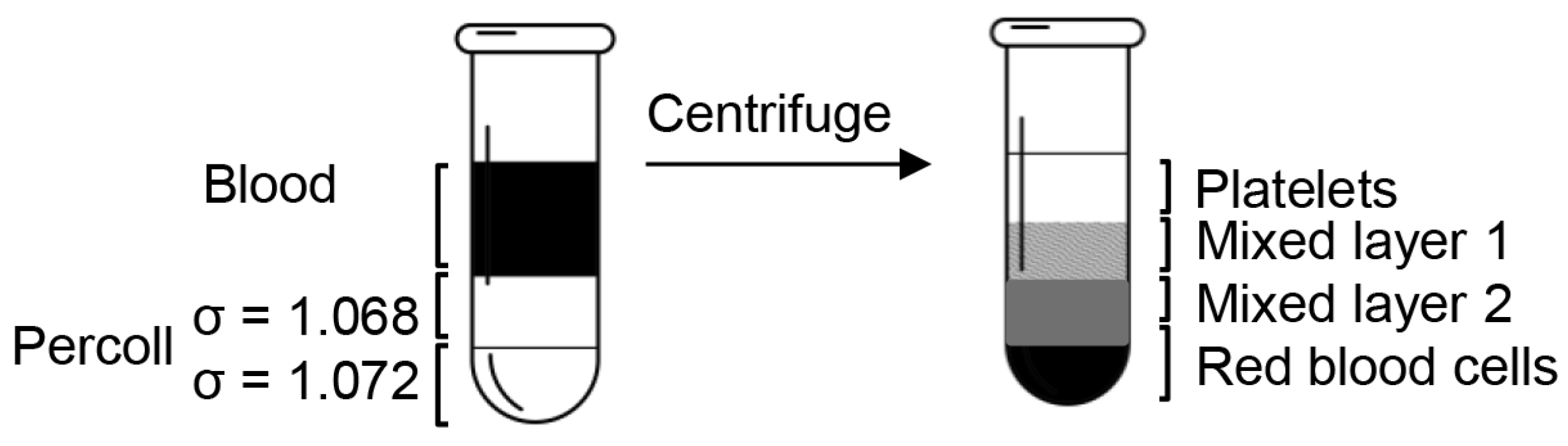 Biomolecules 15 00482 g001