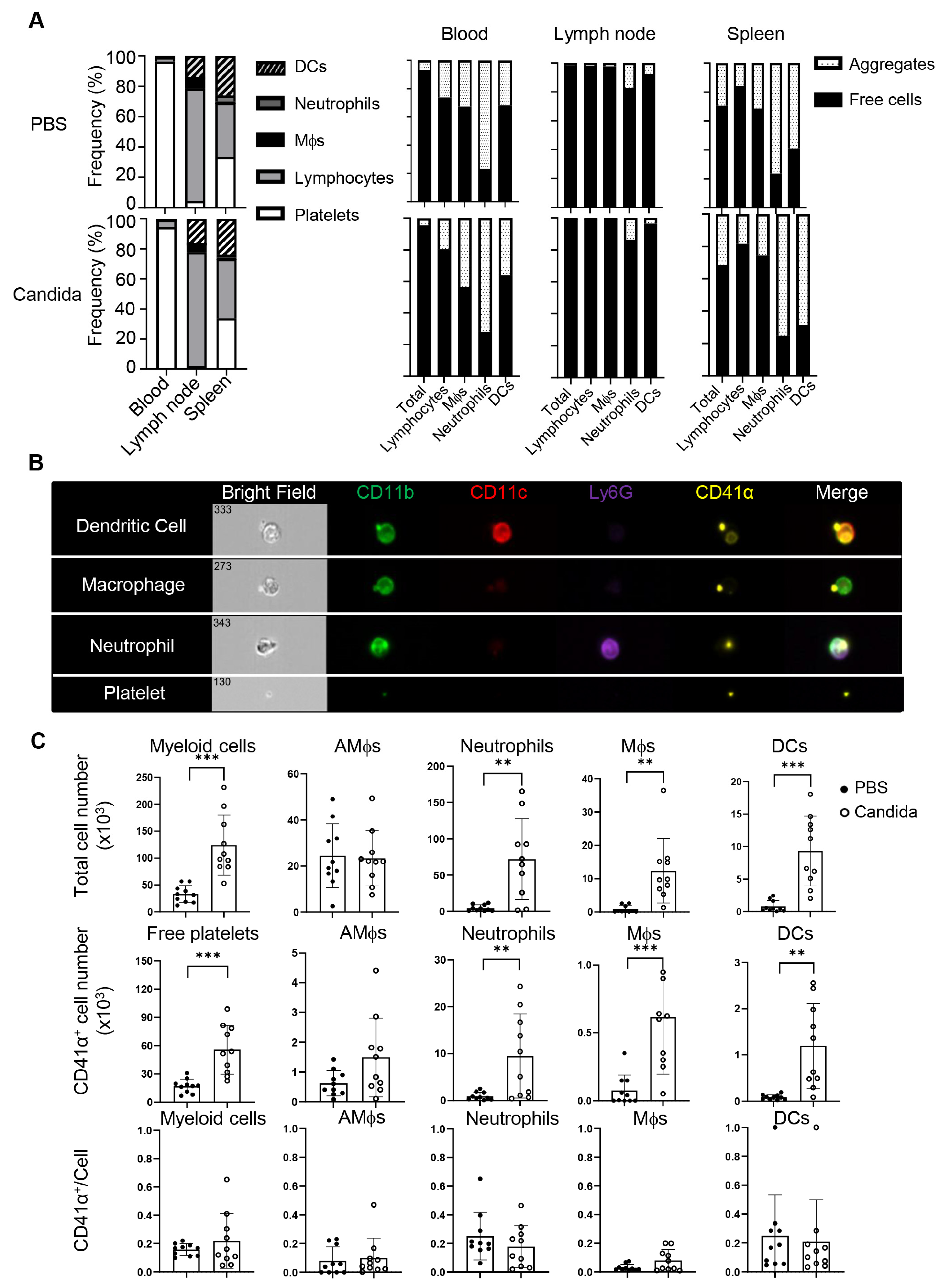 Biomolecules 15 00482 g002