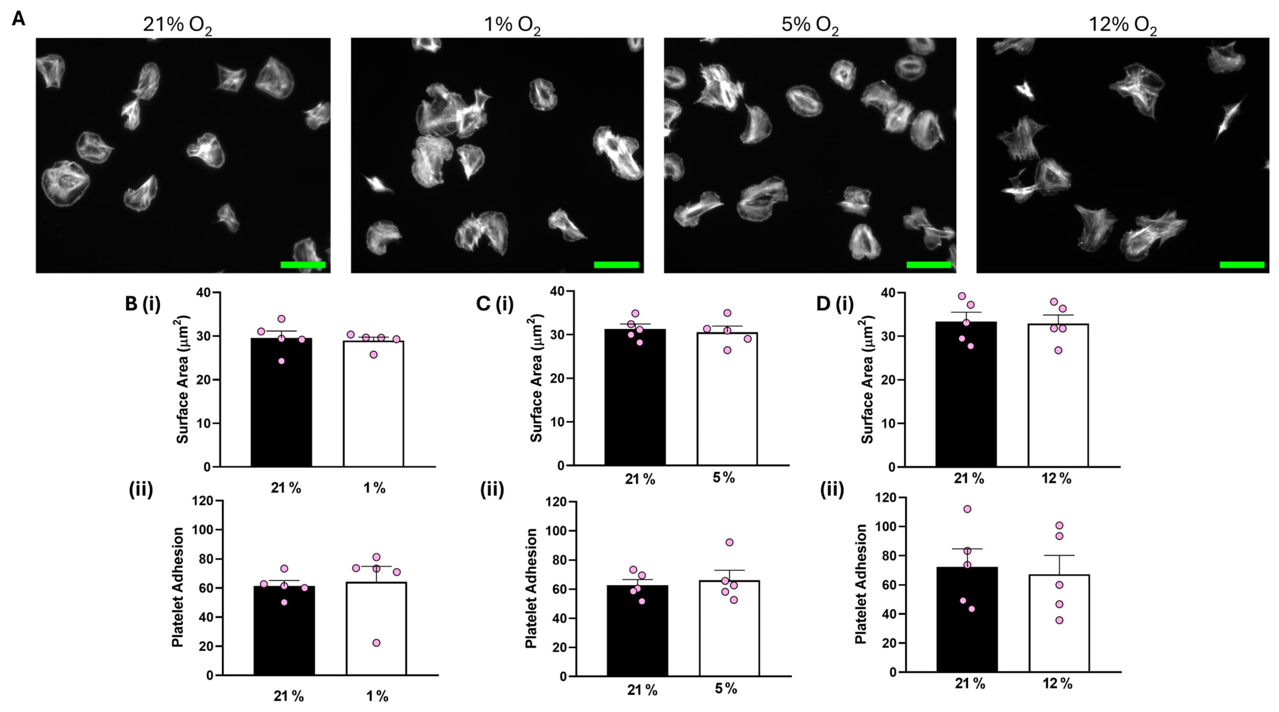 Biomolecules 15 00501 g001