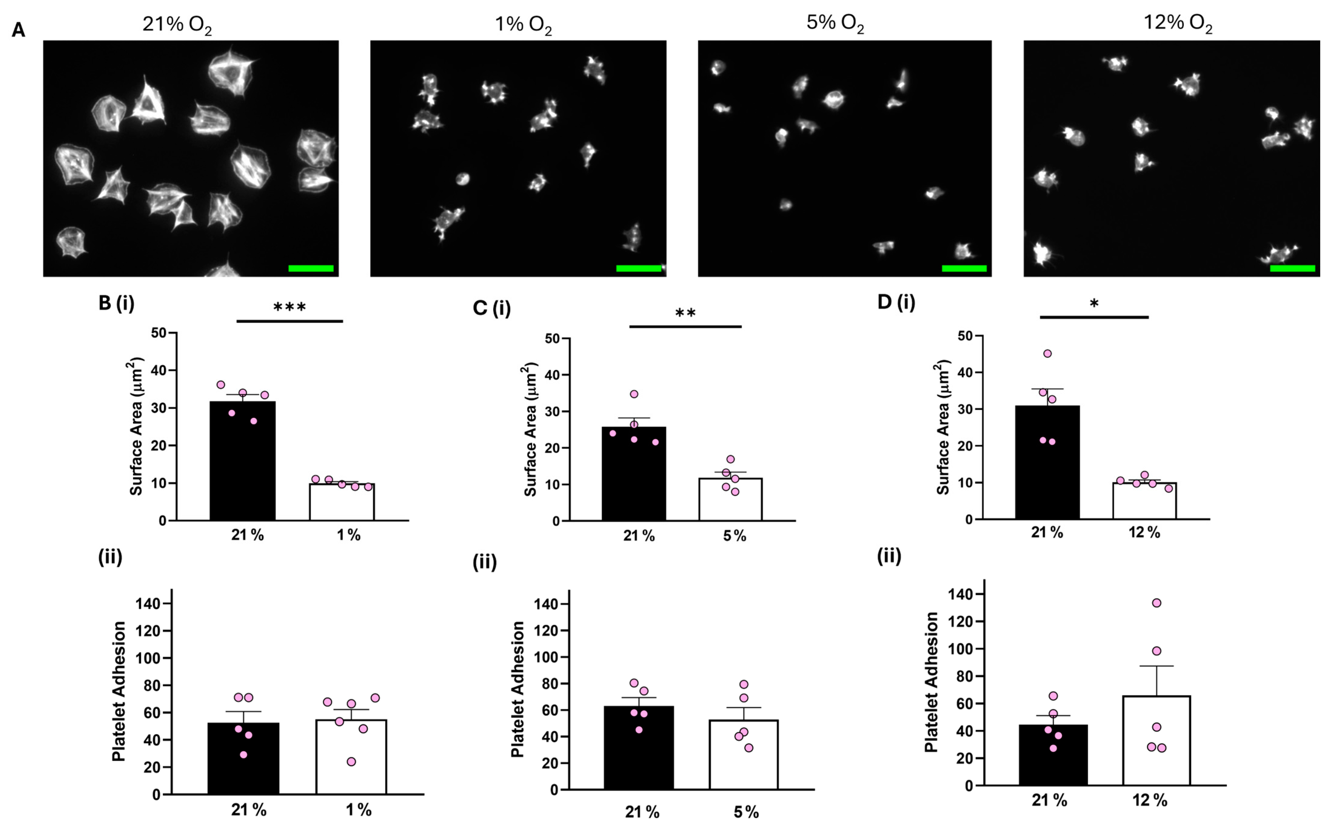Biomolecules 15 00501 g002