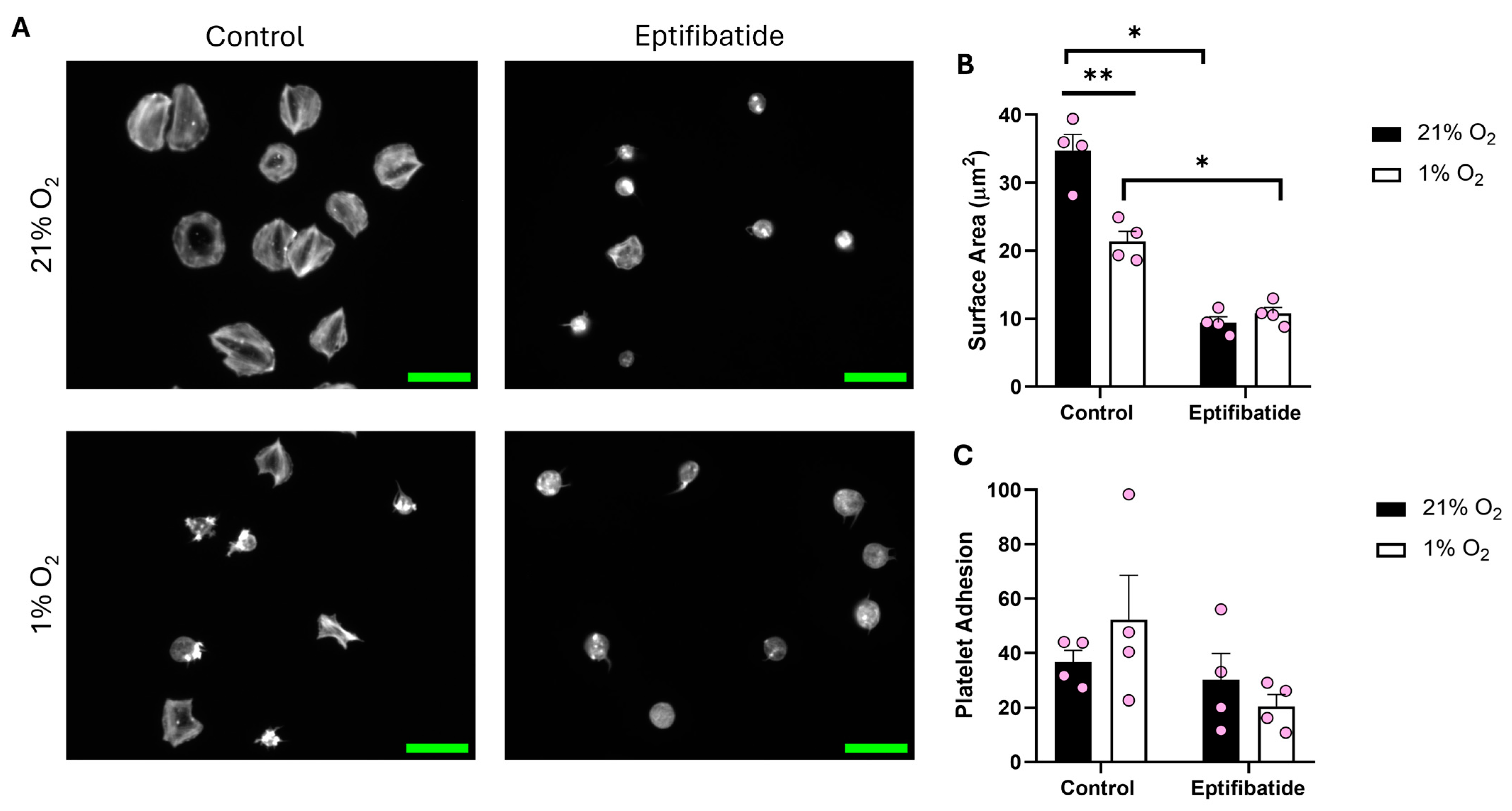 Biomolecules 15 00501 g003