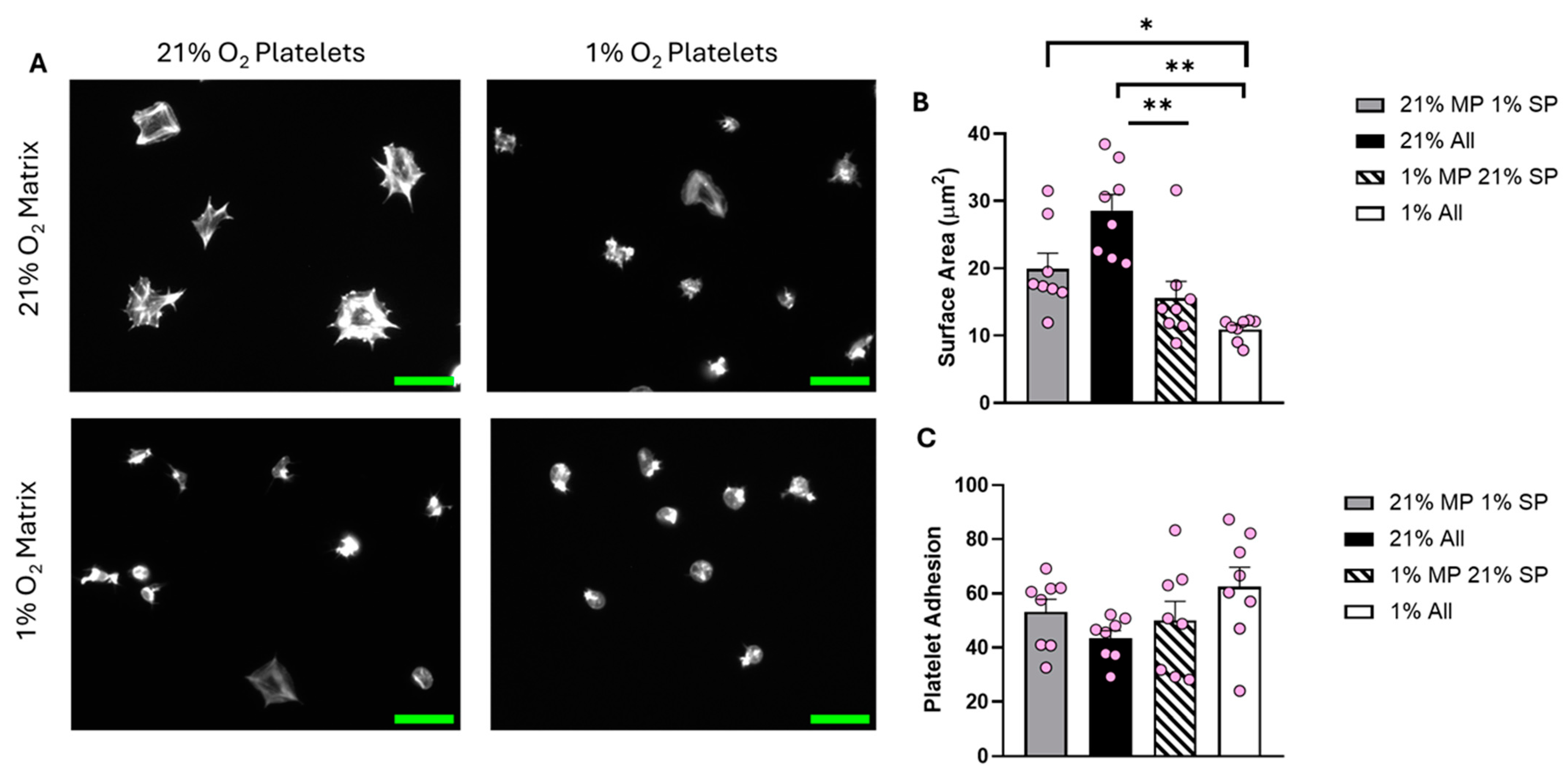 Biomolecules 15 00501 g005