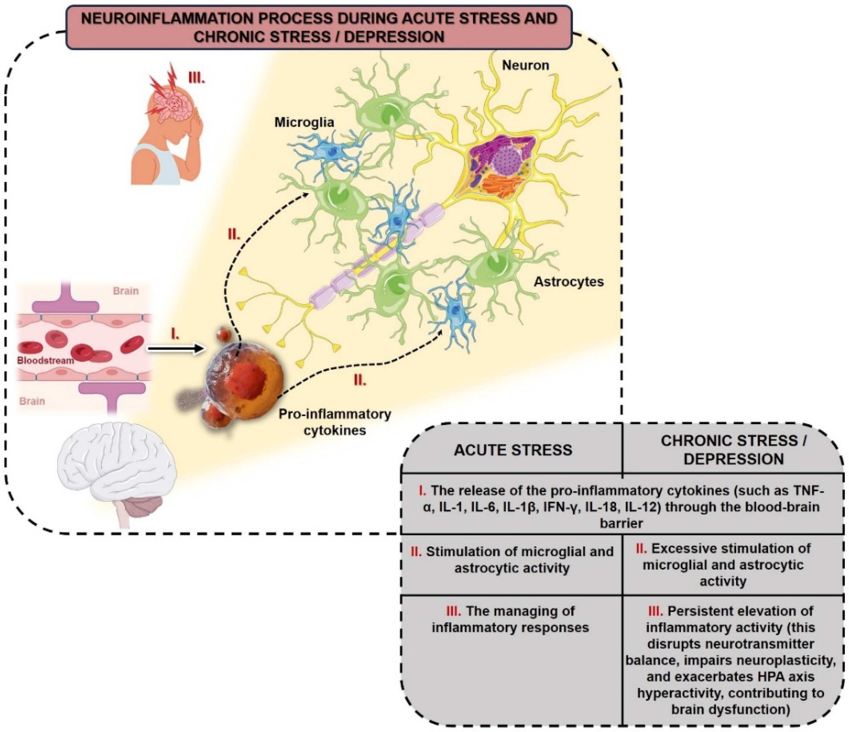 Biomolecules 15 00502 g001