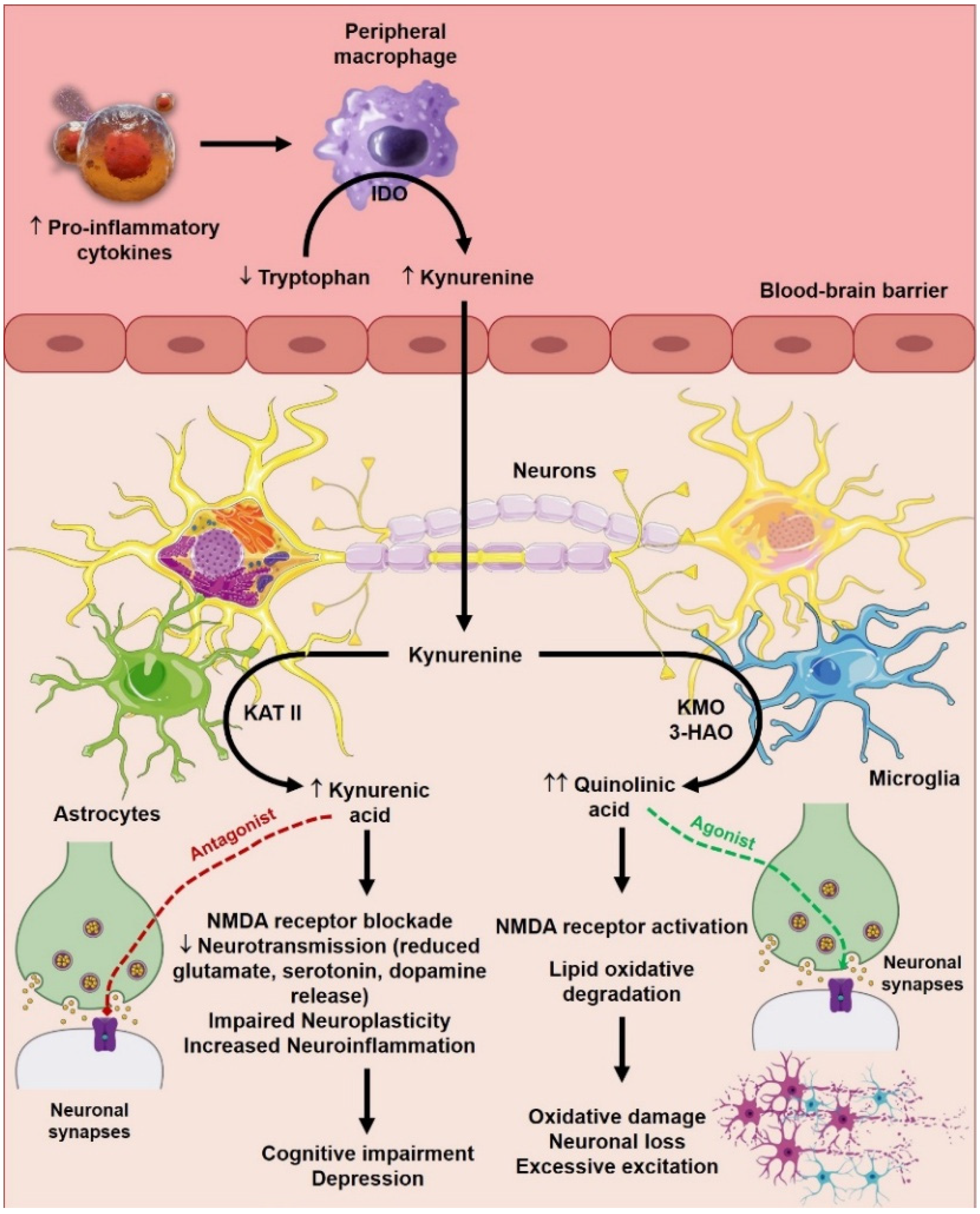 Biomolecules 15 00502 g002