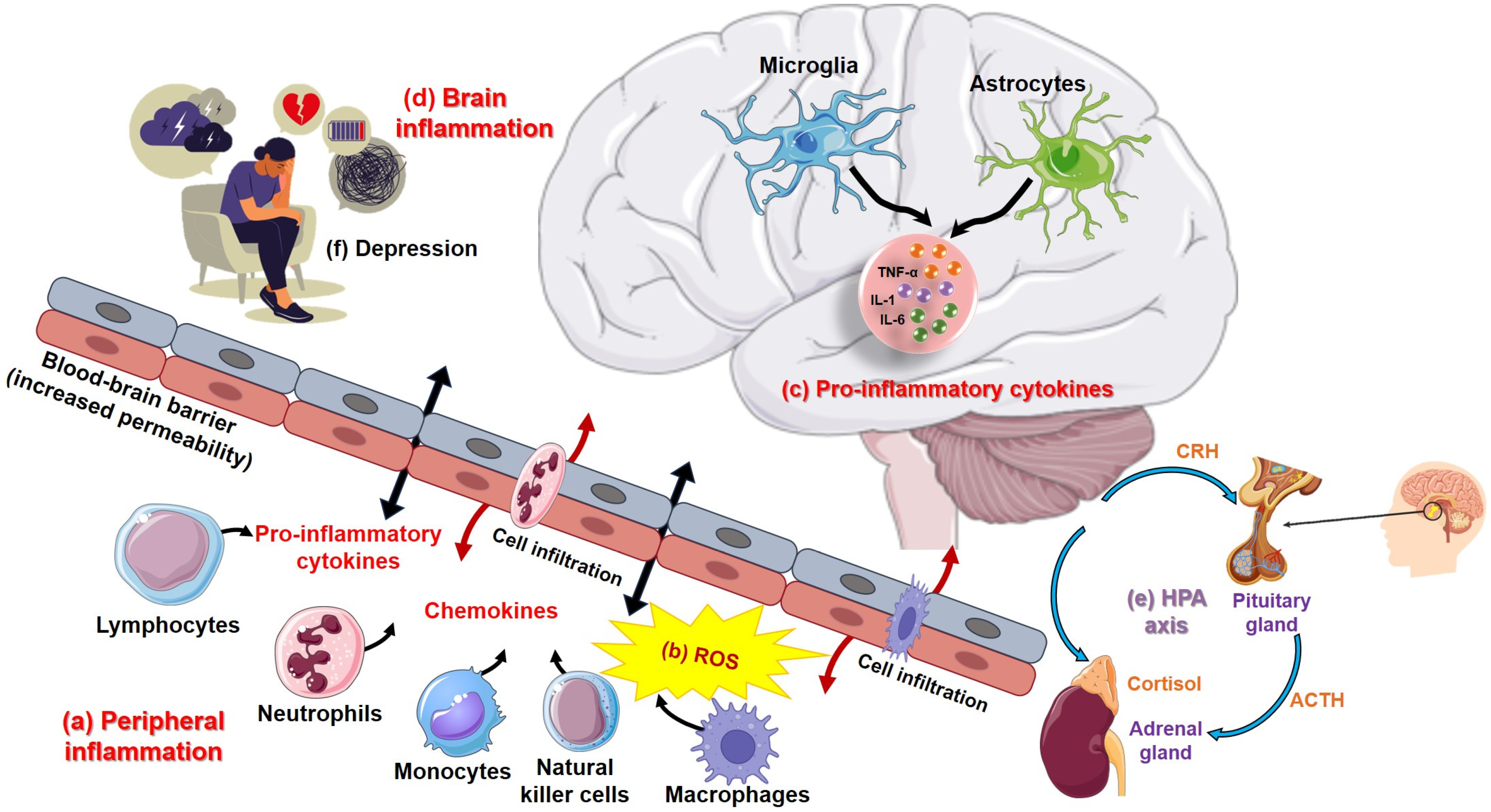 Biomolecules 15 00502 g003