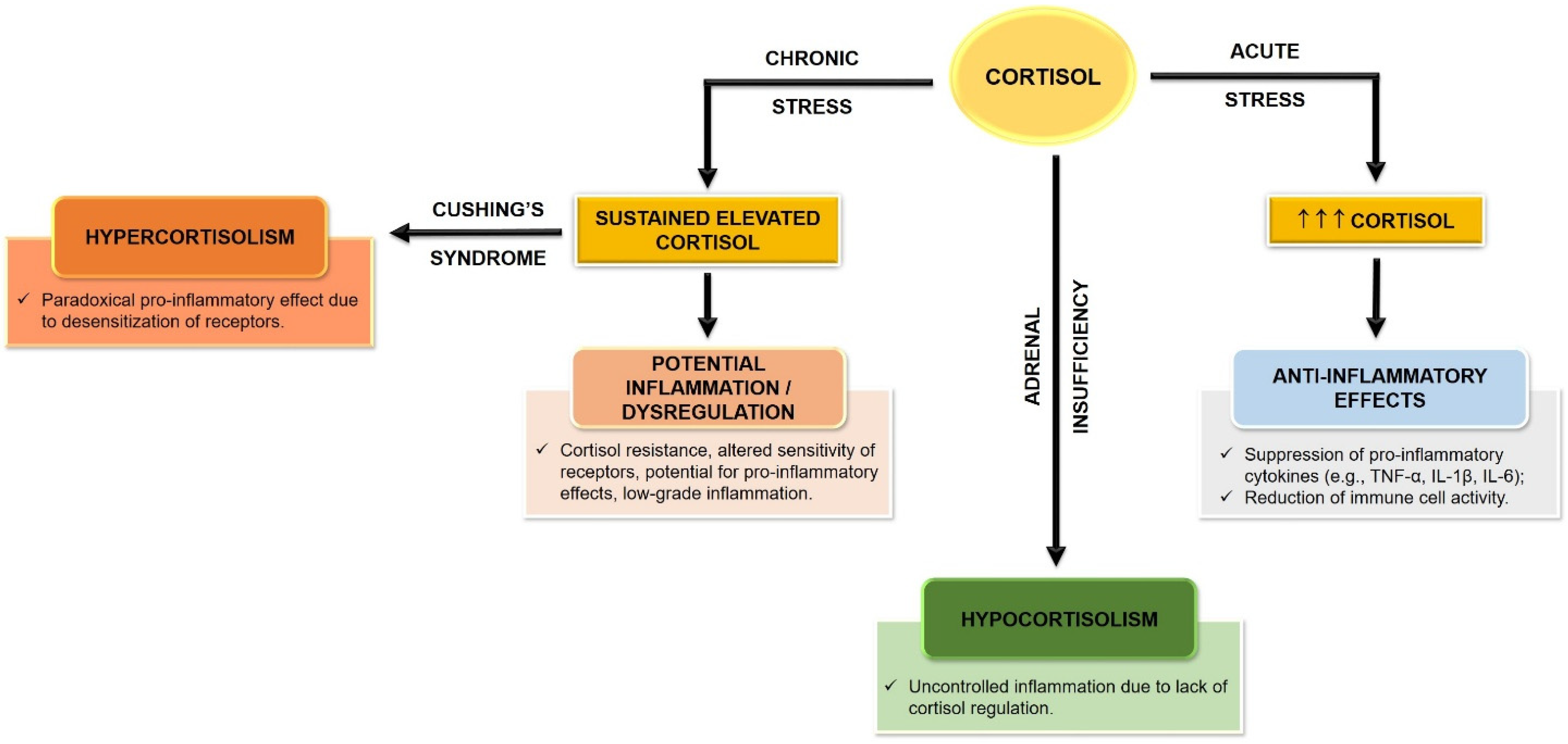 Biomolecules 15 00502 g005