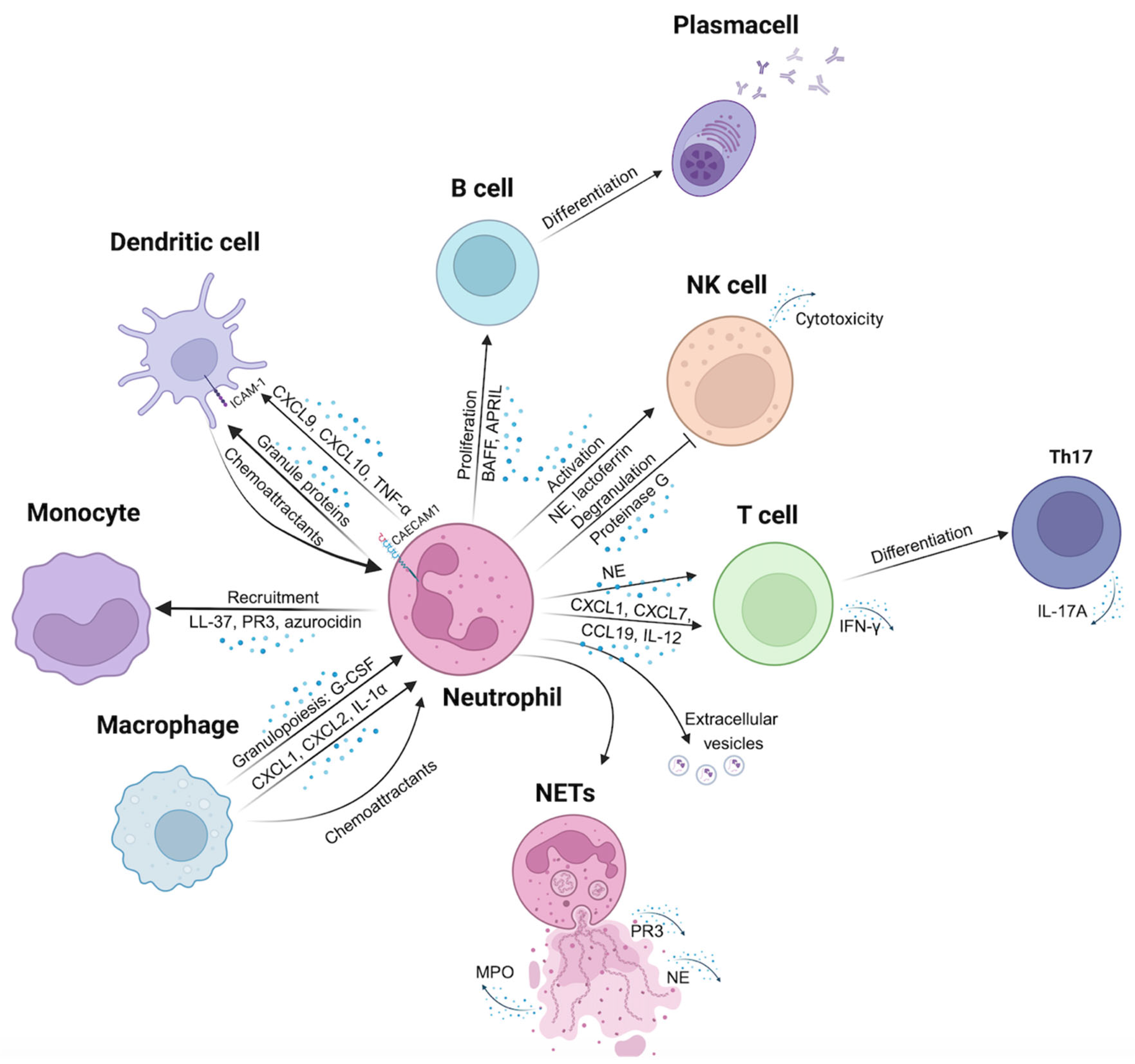 Biomolecules 15 00505 g001 Biomolecules 15 00505 g001