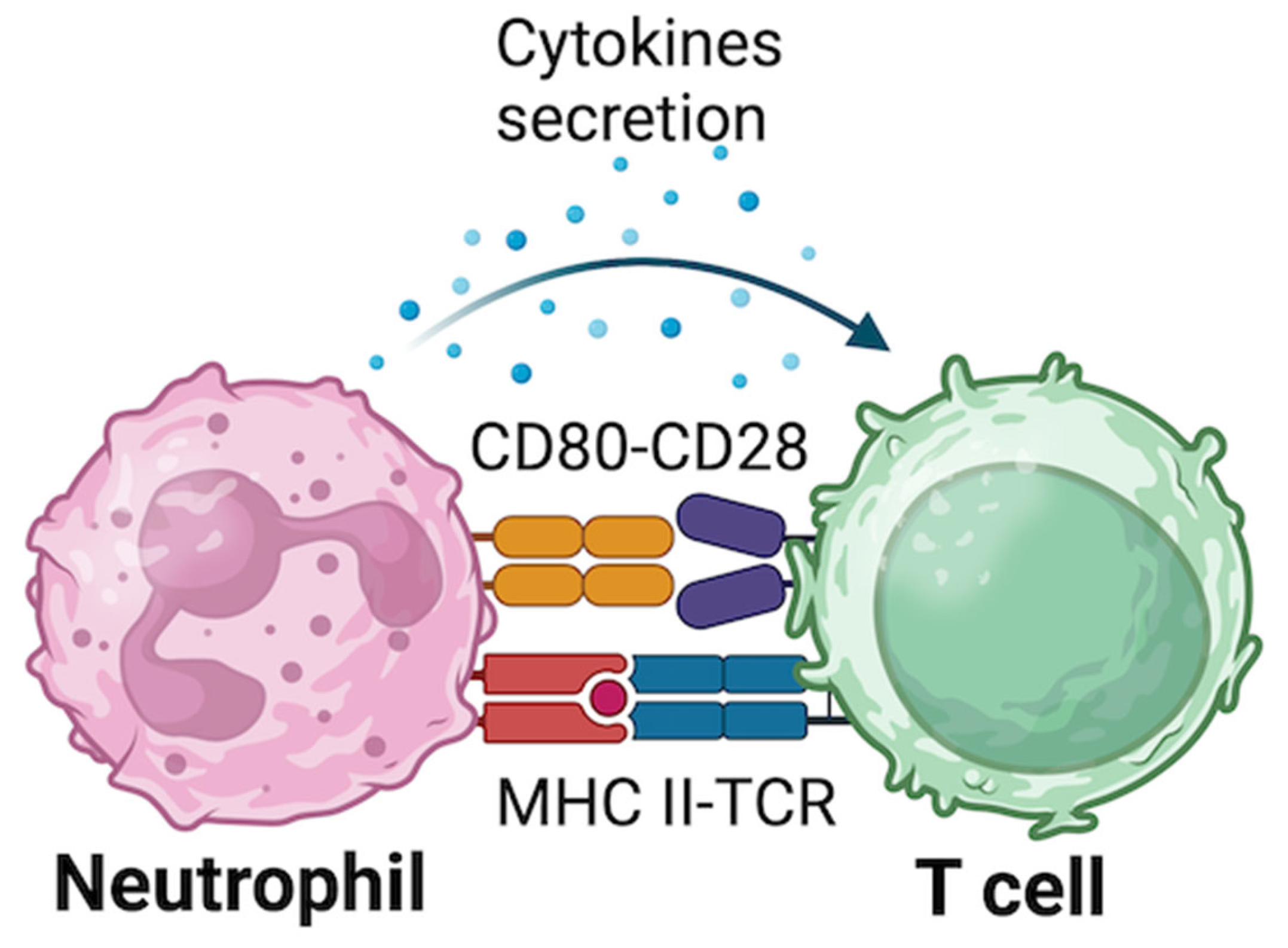 Biomolecules 15 00505 g002 Biomolecules 15 00505 g002