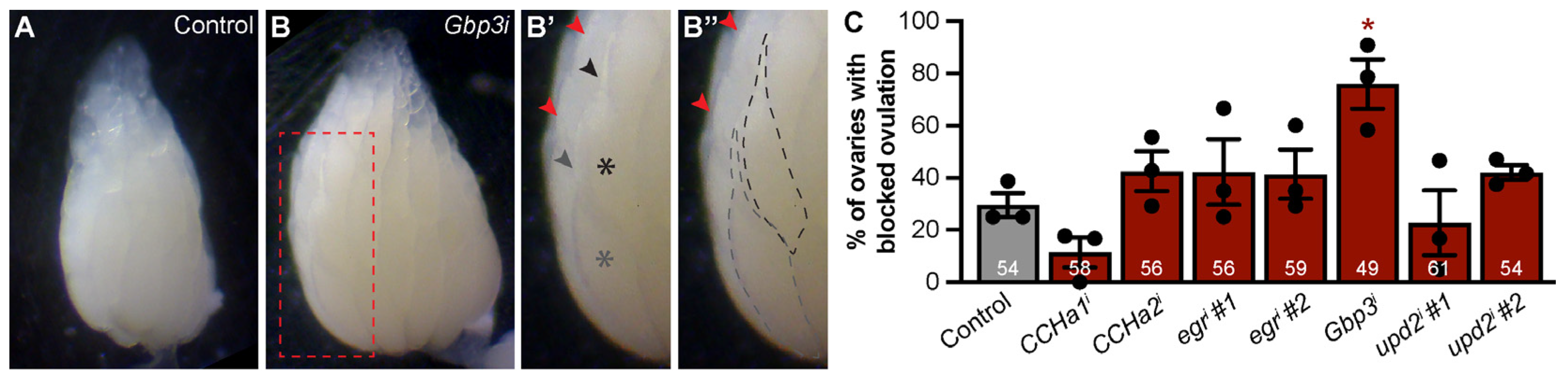 Biomolecules 15 00513 g005