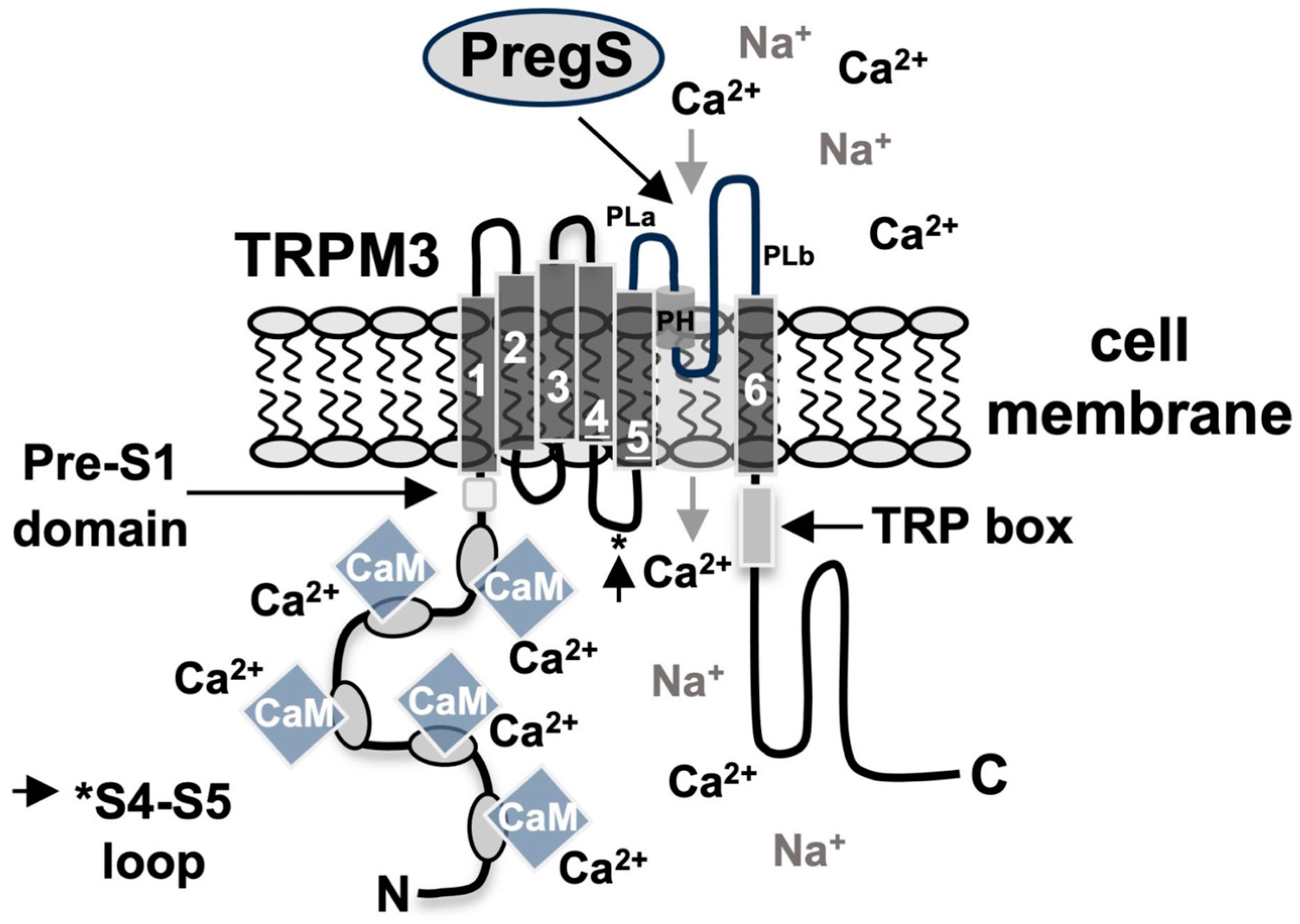 Biomolecules 15 00521 g001