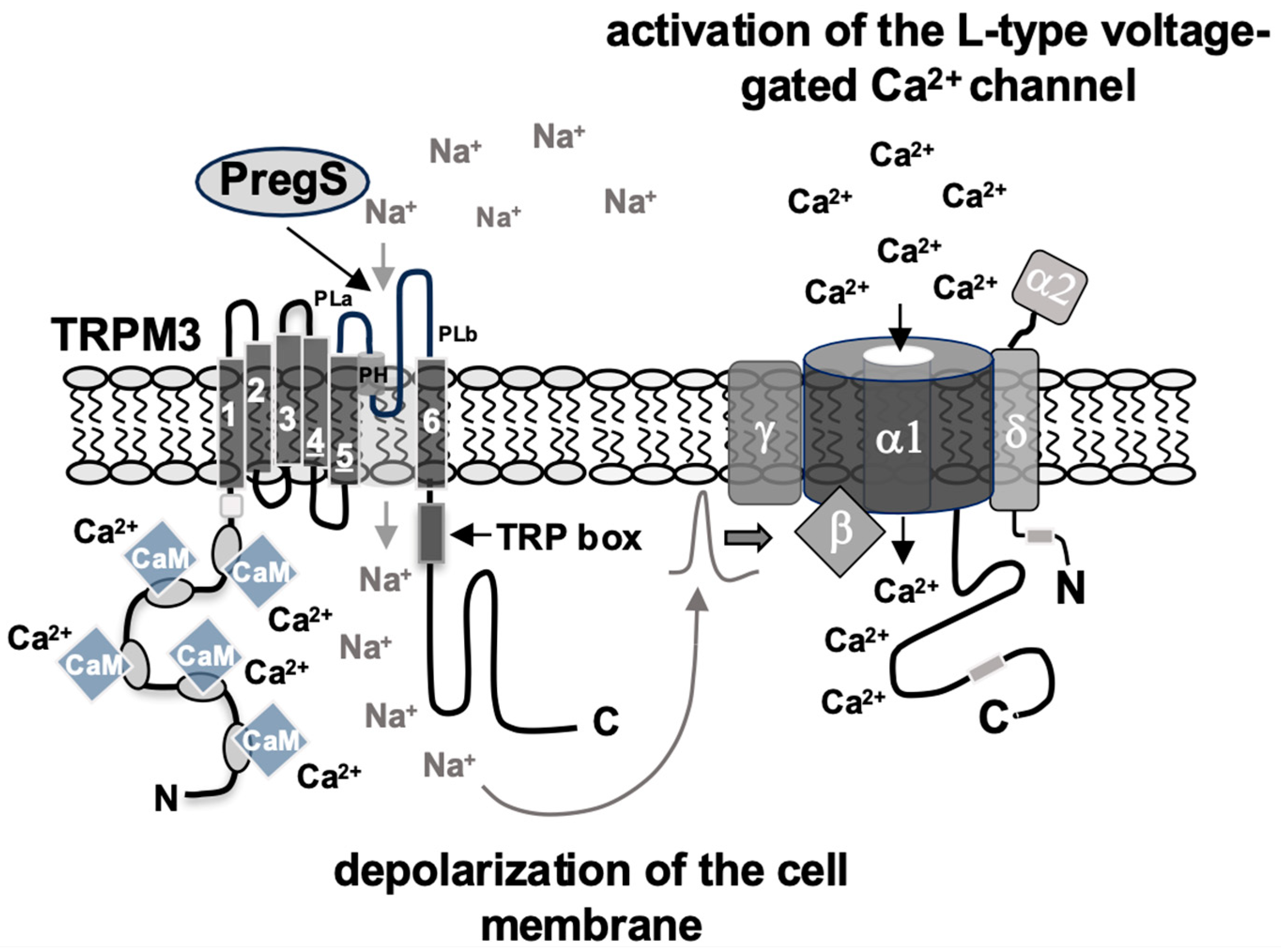 Biomolecules 15 00521 g002