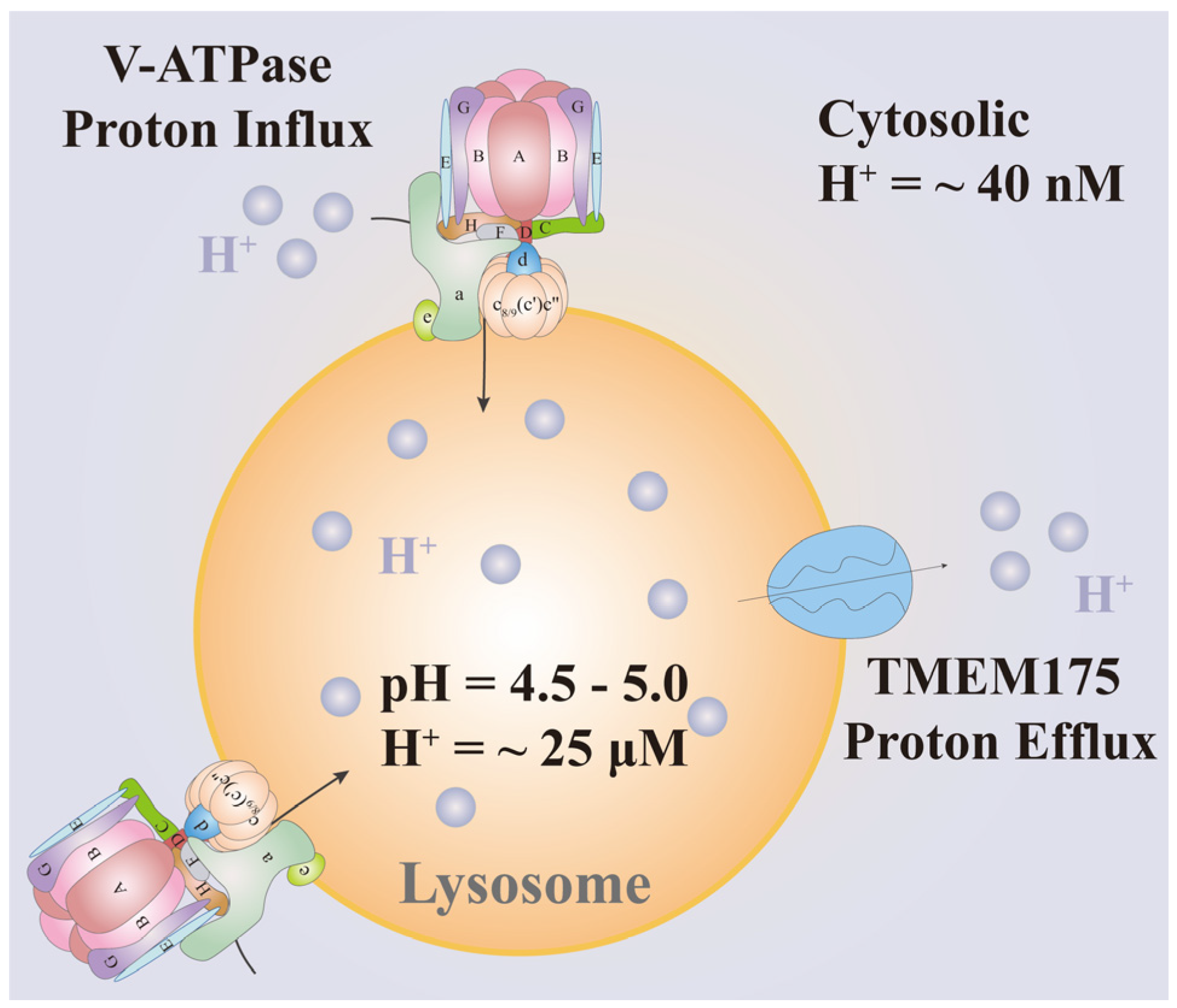 Biomolecules 15 00525 g001