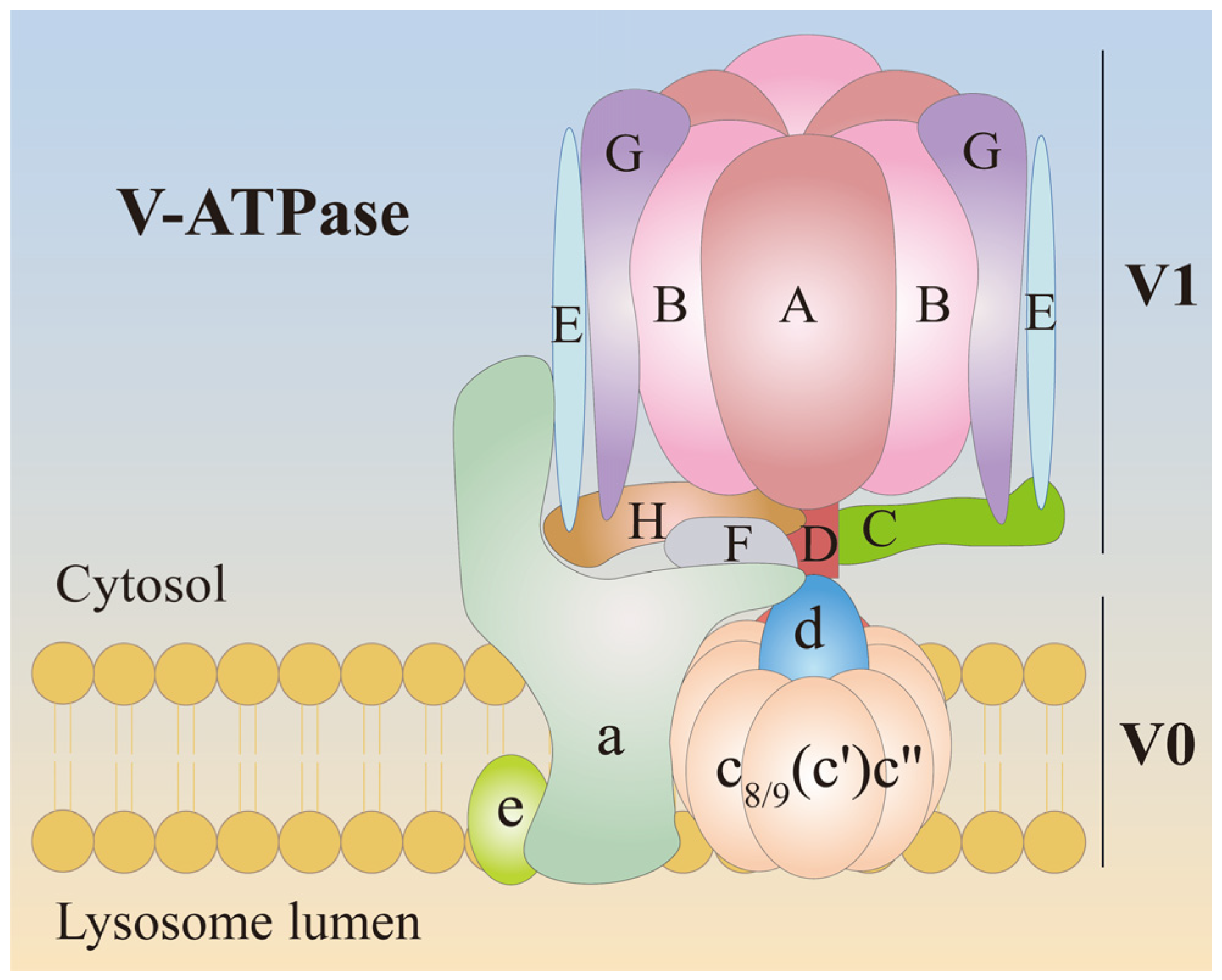 Biomolecules 15 00525 g002