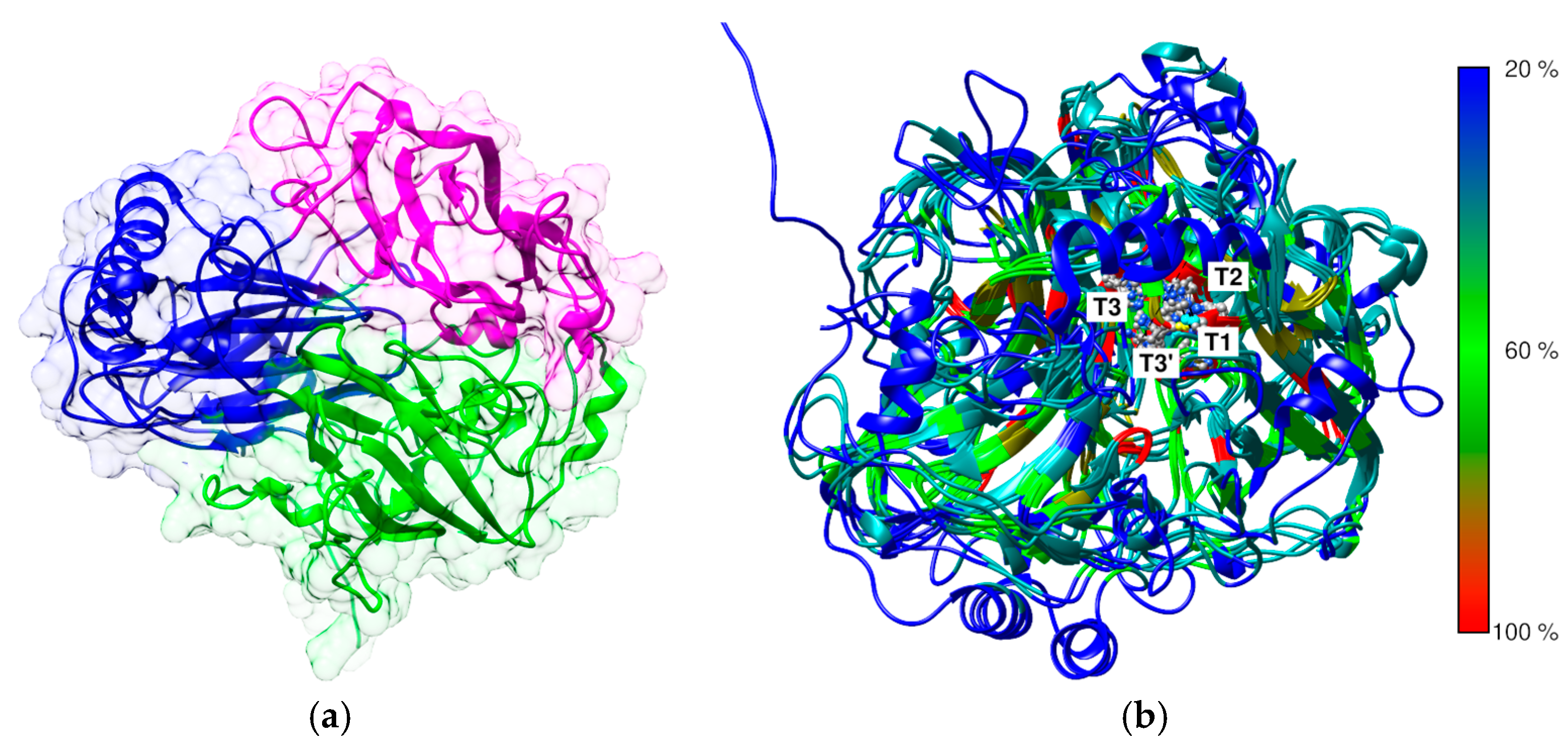 Biomolecules 15 00531 g002