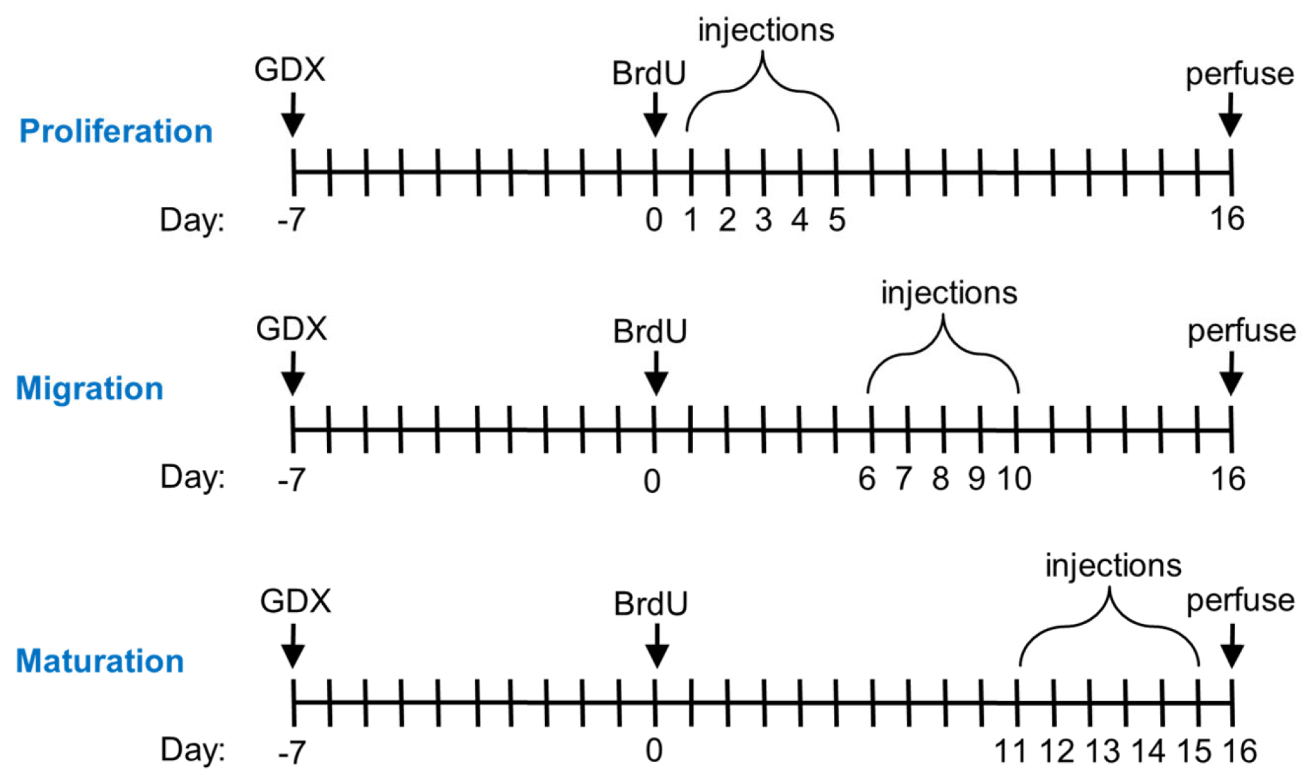 Biomolecules 15 00542 g001