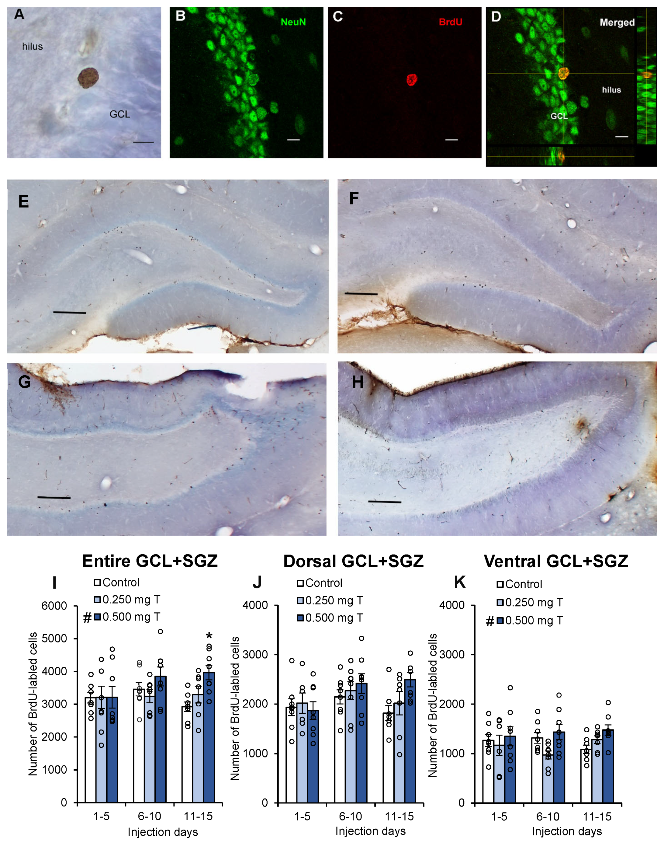 Biomolecules 15 00542 g002
