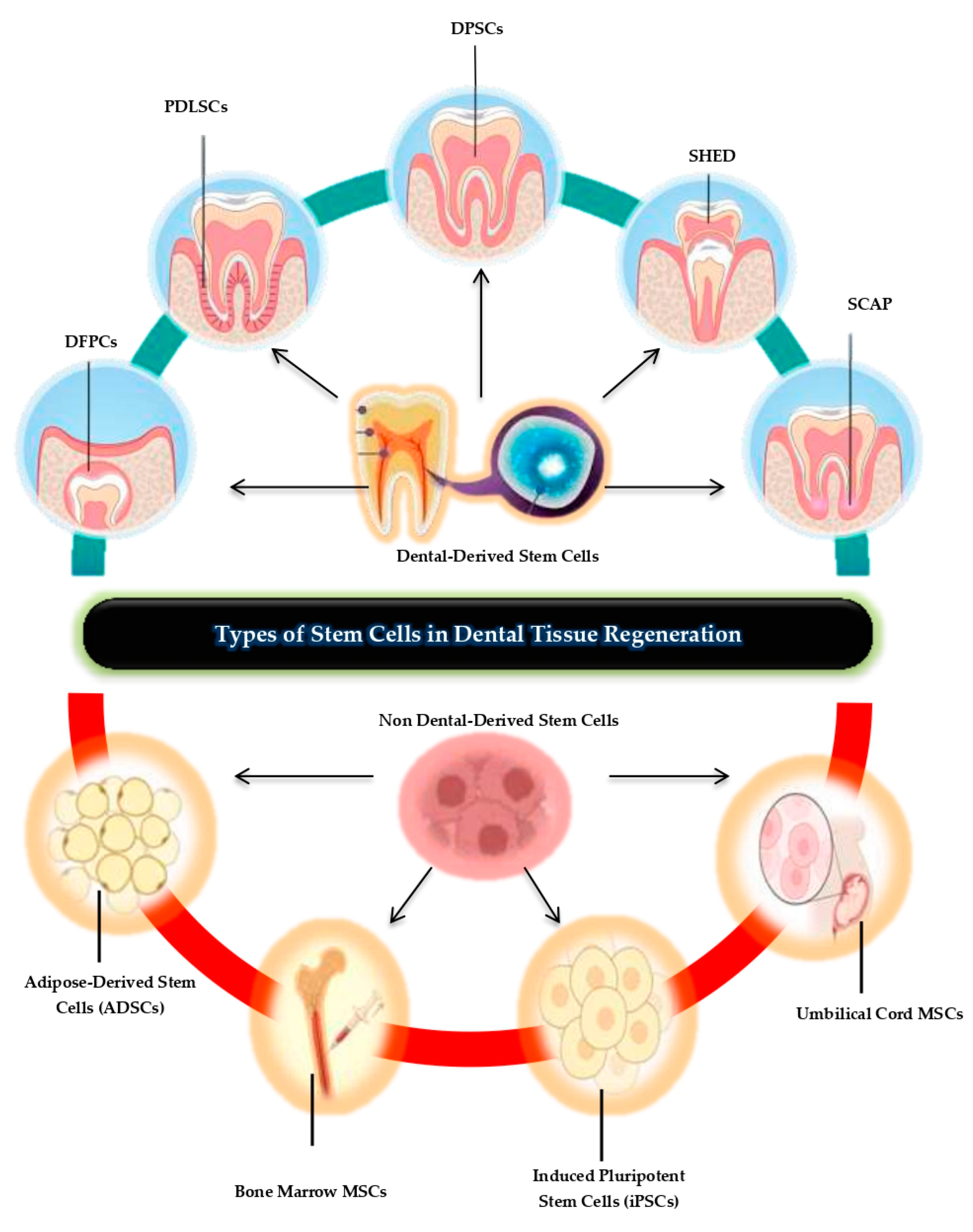 Biomolecules 15 00546 g001