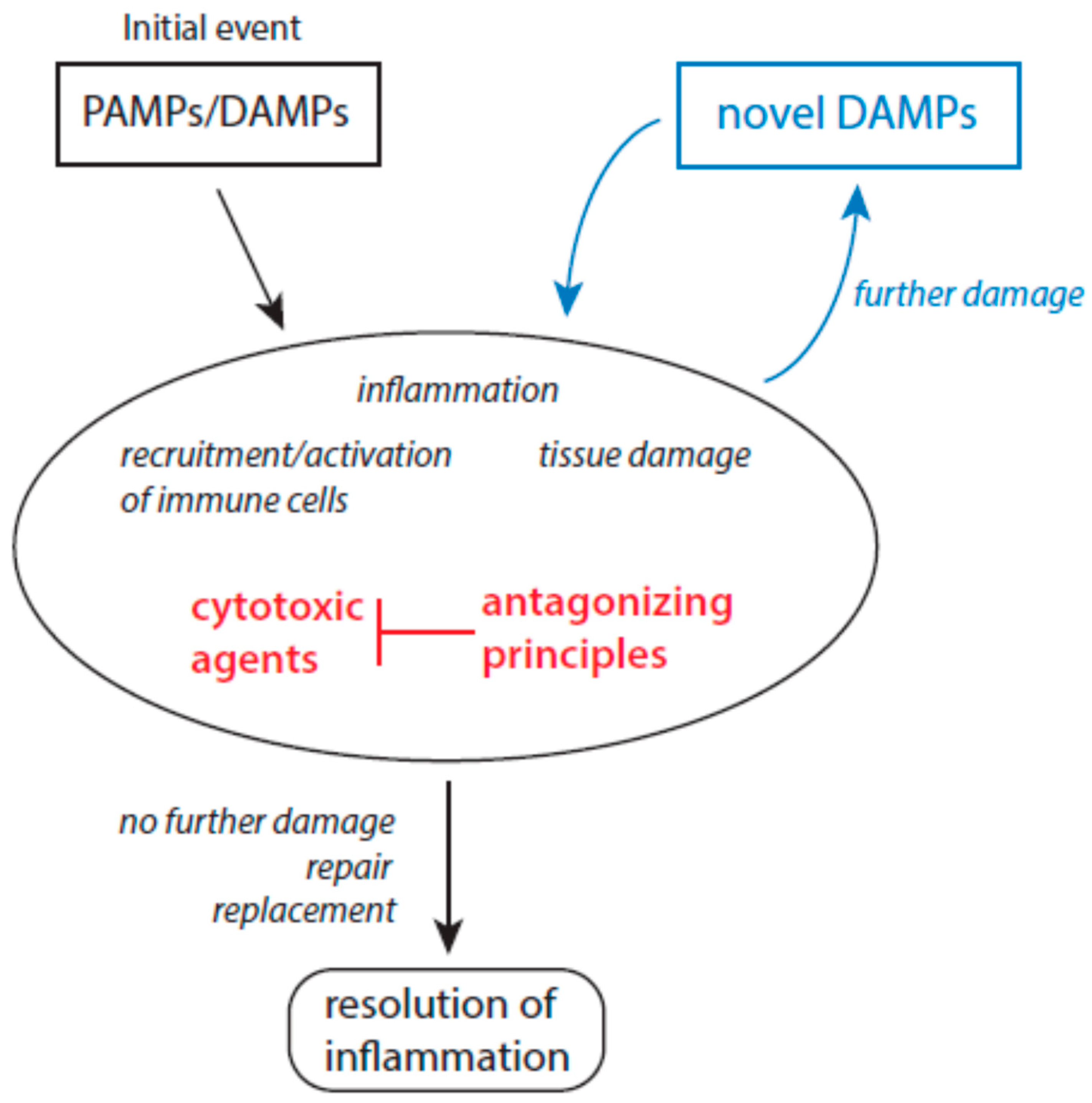 Biomolecules 15 00547 g001