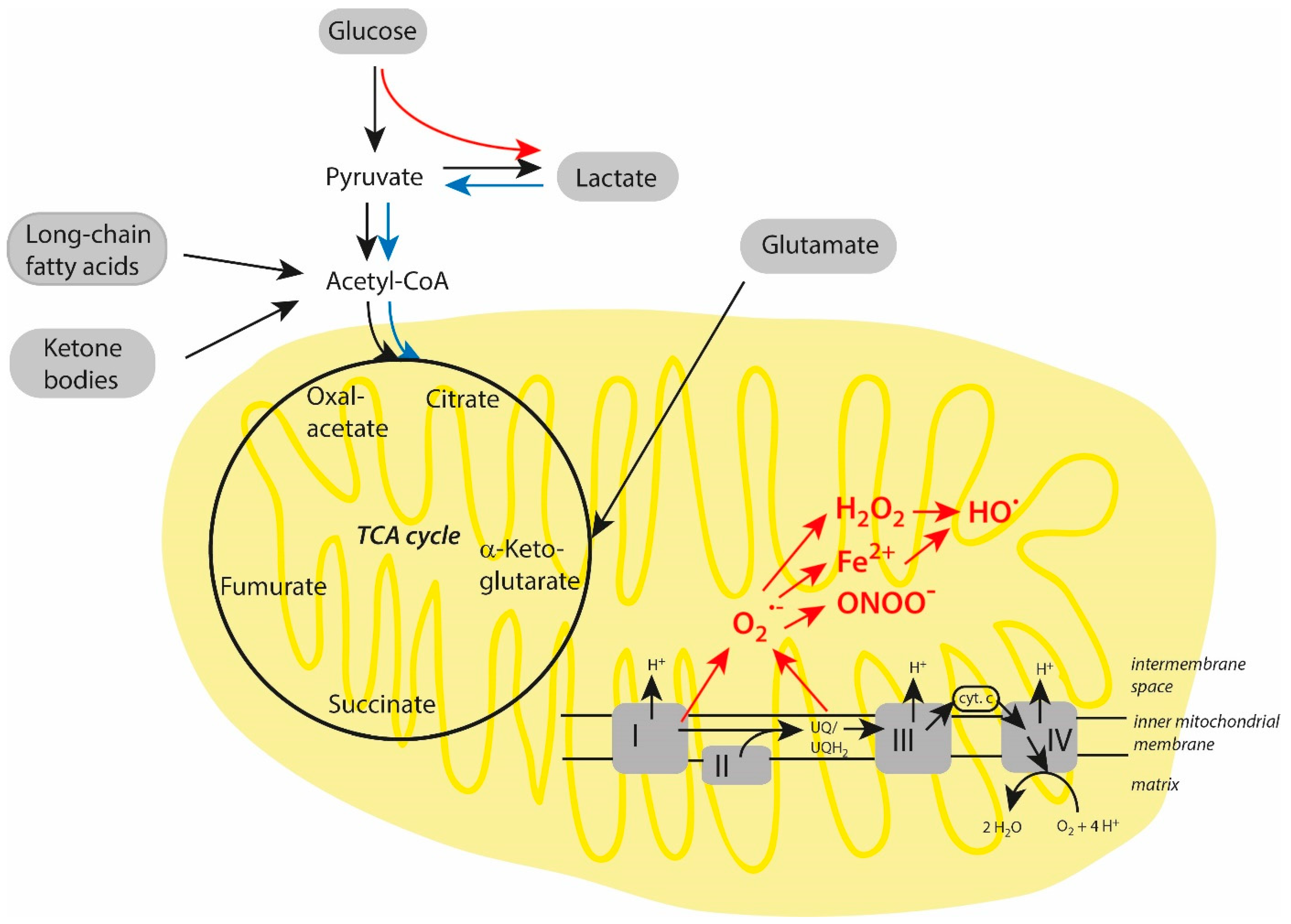Biomolecules 15 00547 g002