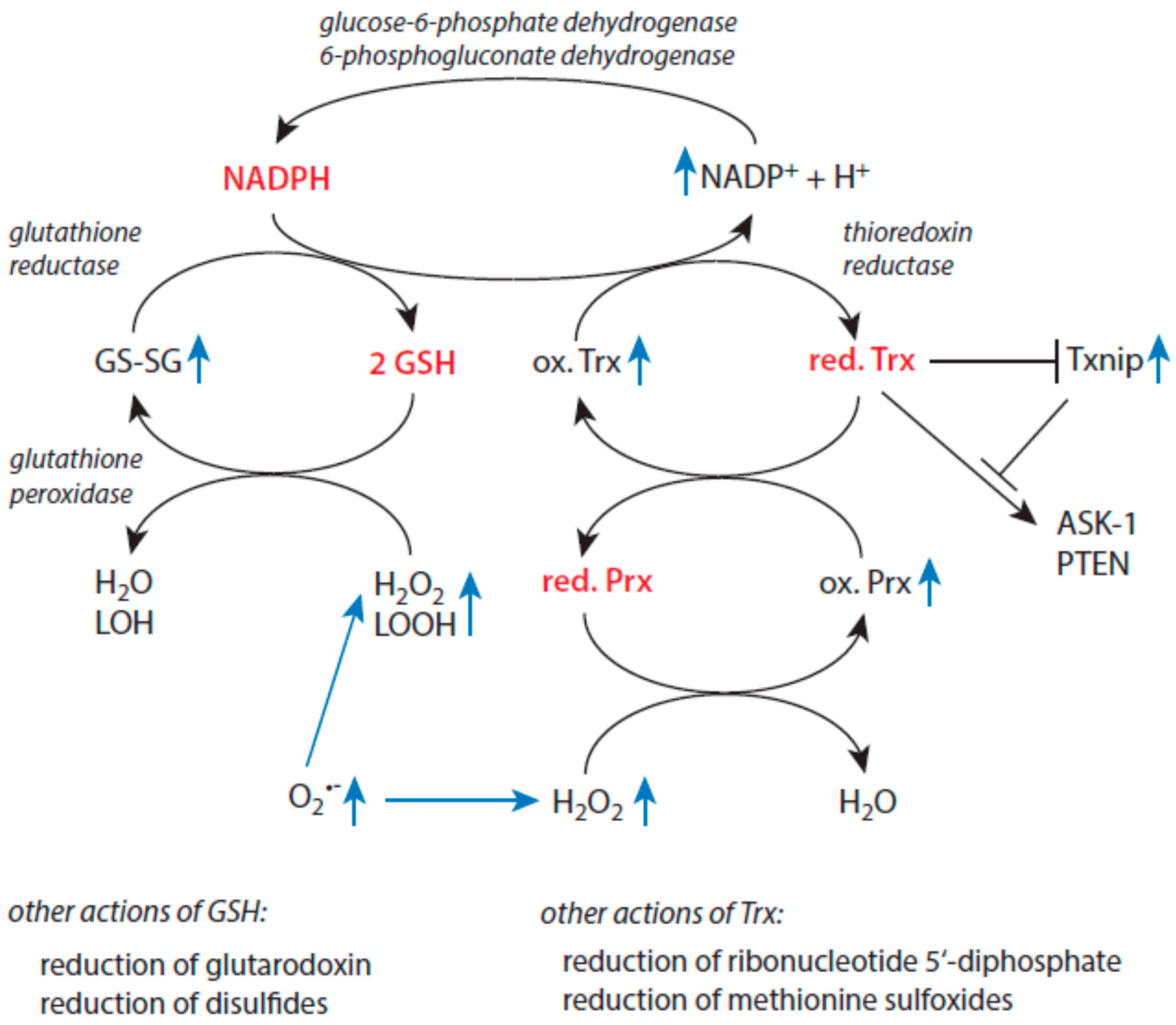 Biomolecules 15 00547 g003
