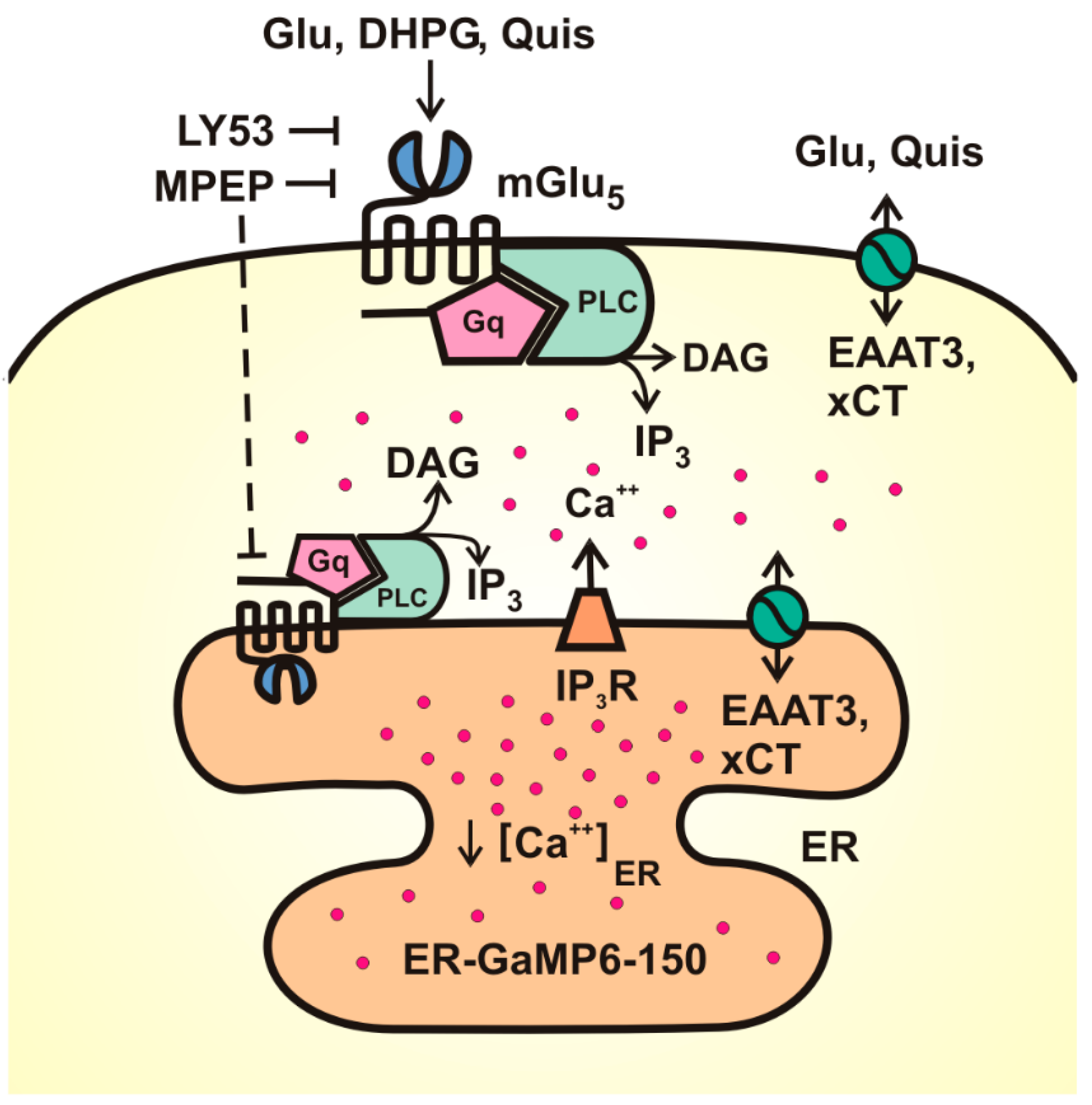 Biomolecules 15 00552 g001