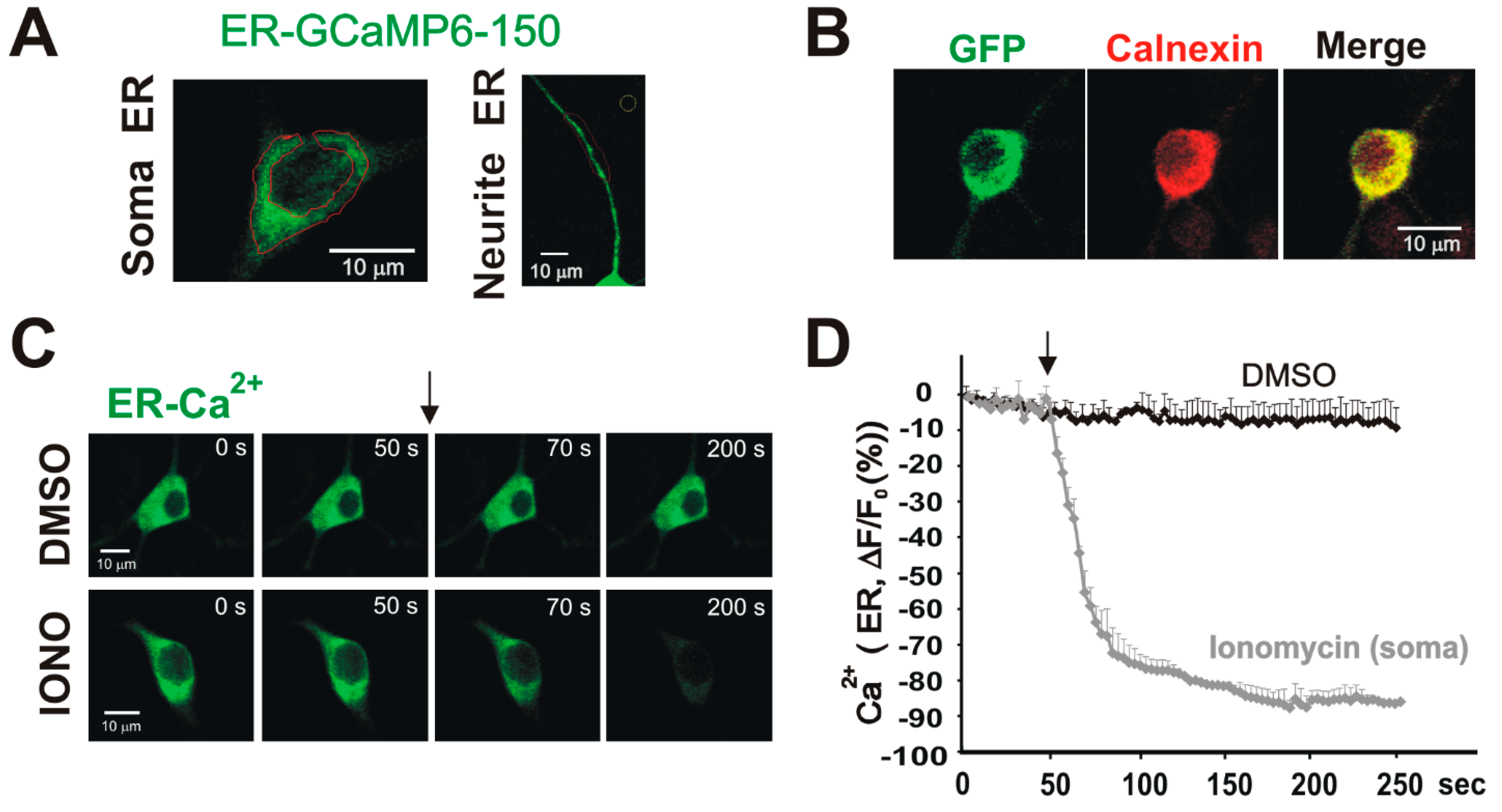 Biomolecules 15 00552 g002