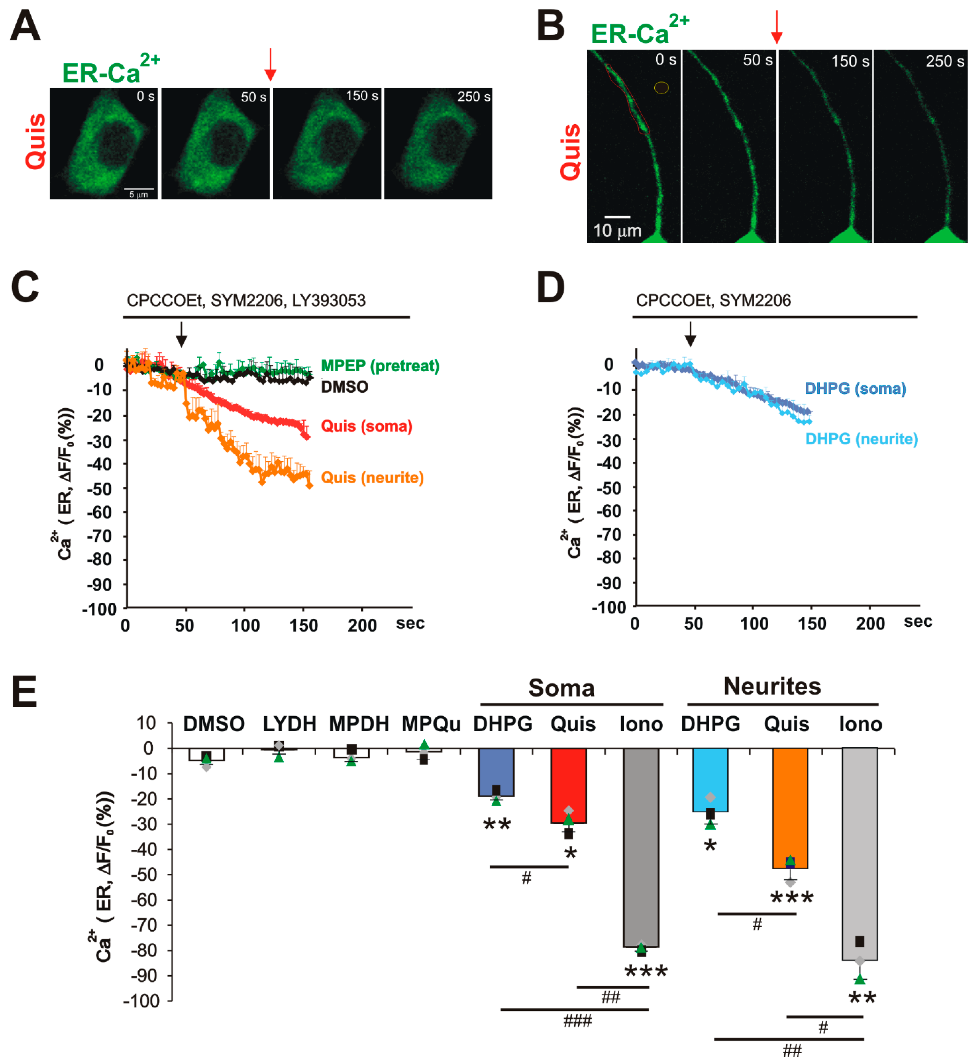 Biomolecules 15 00552 g003