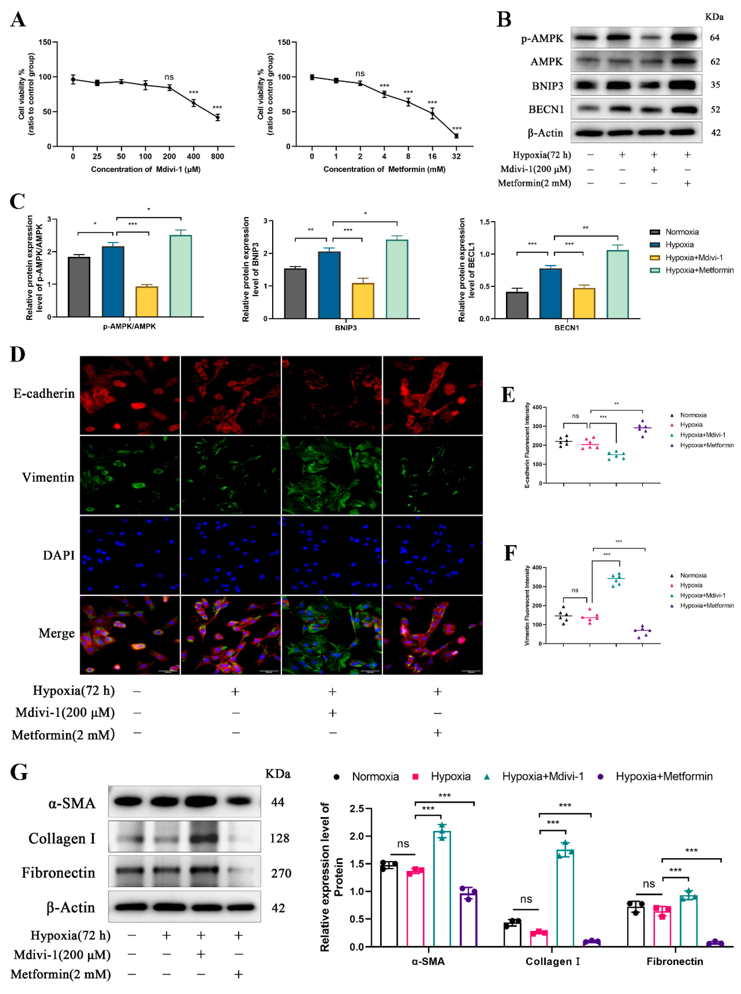 Biomolecules 15 00556 g004