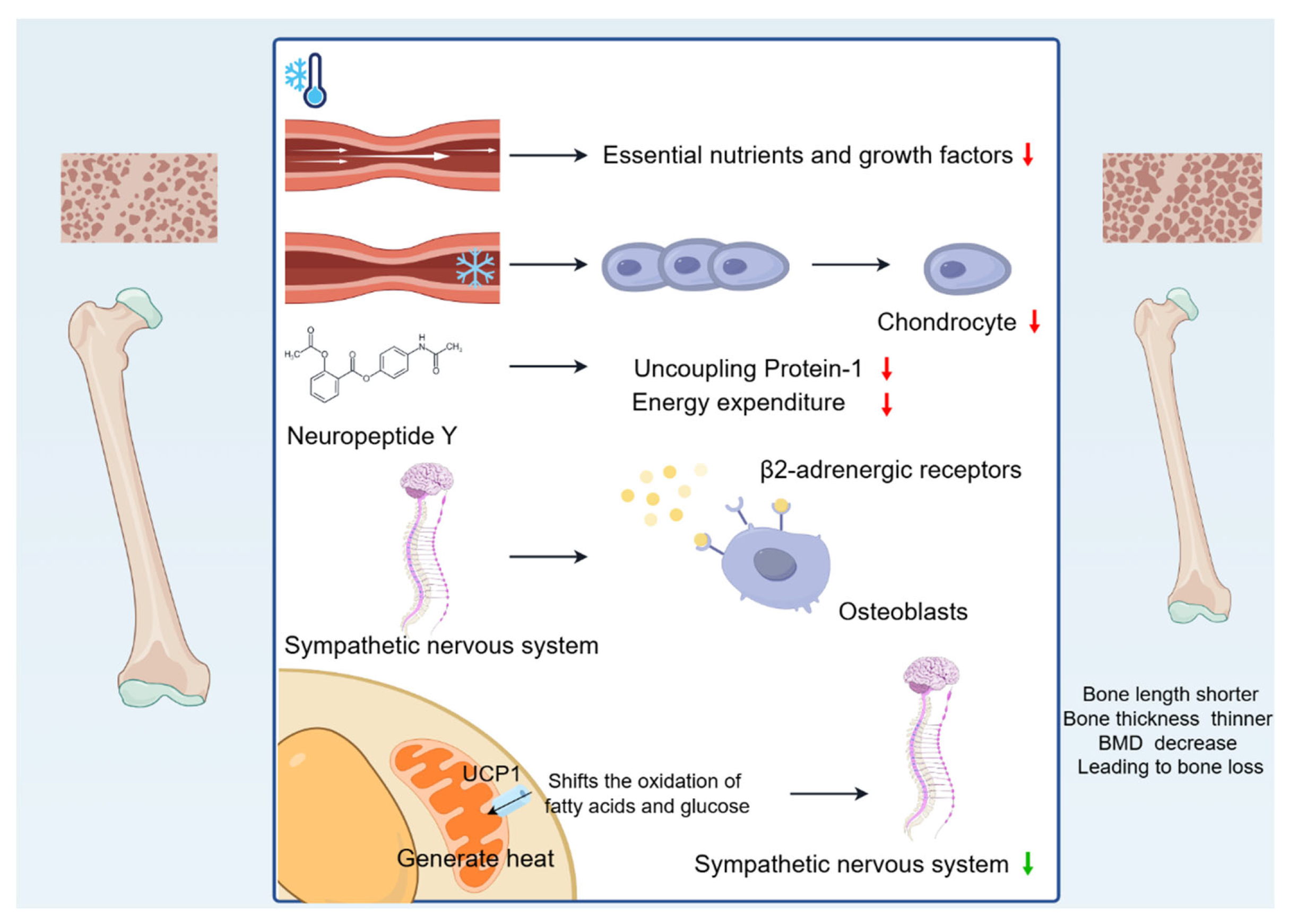 Biomolecules 15 00564 g001