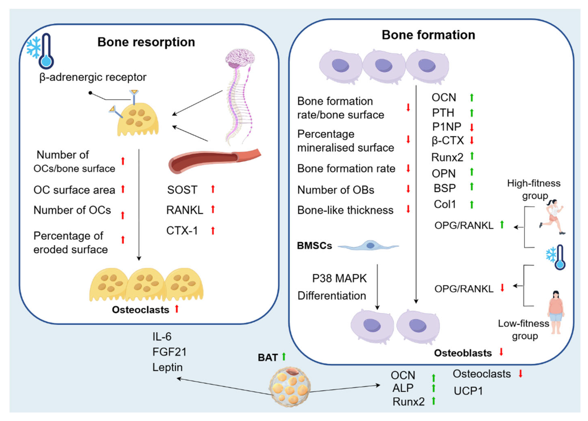 Biomolecules 15 00564 g003