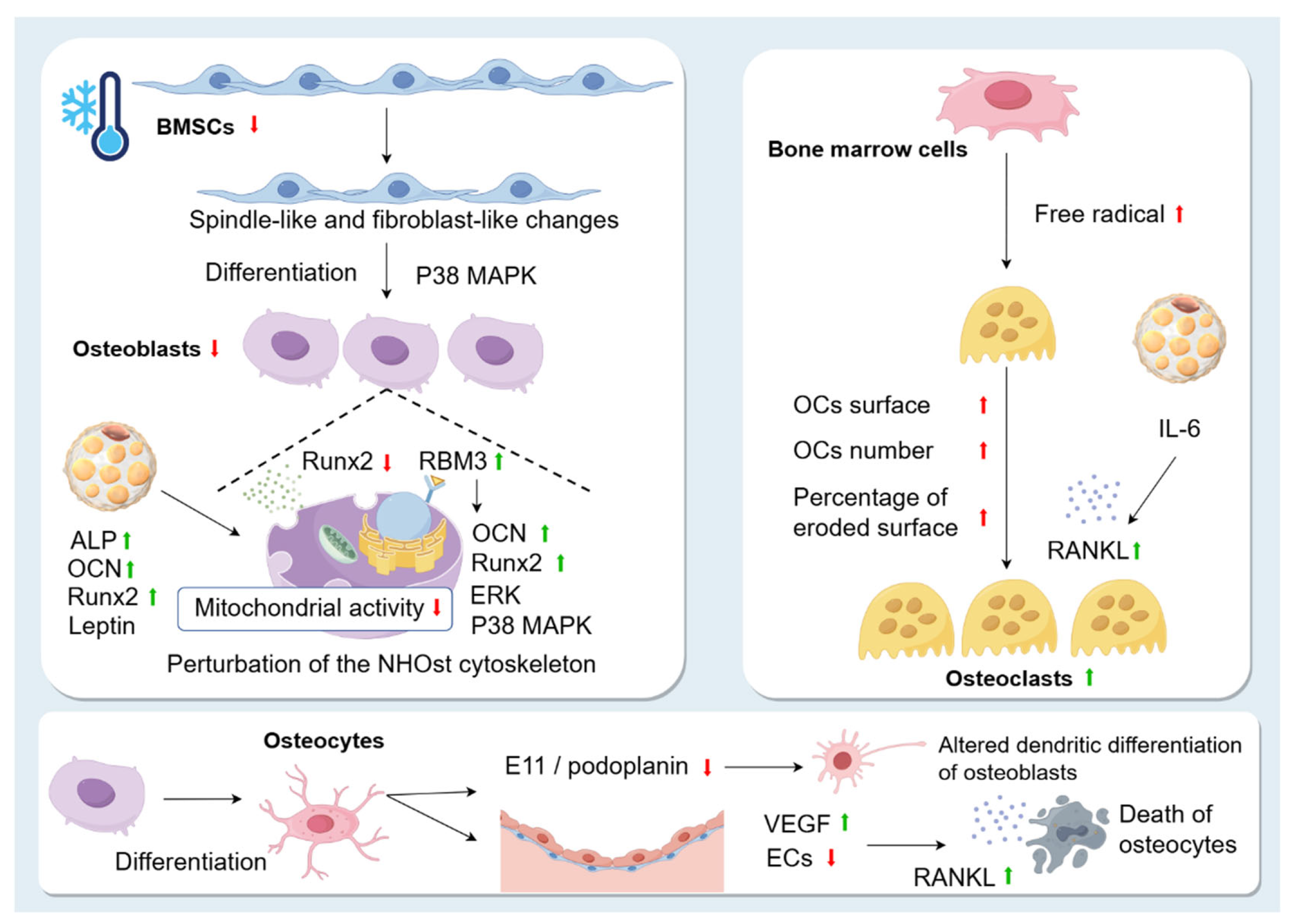 Biomolecules 15 00564 g004