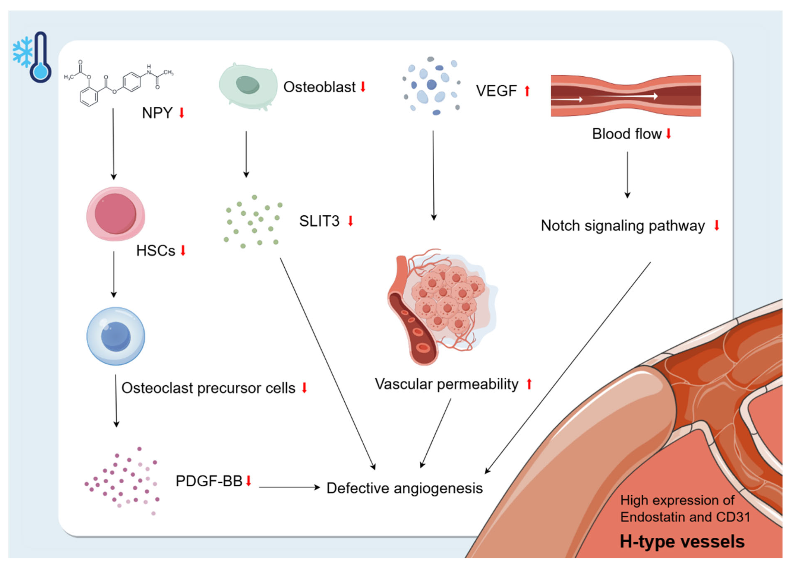 Biomolecules 15 00564 g005
