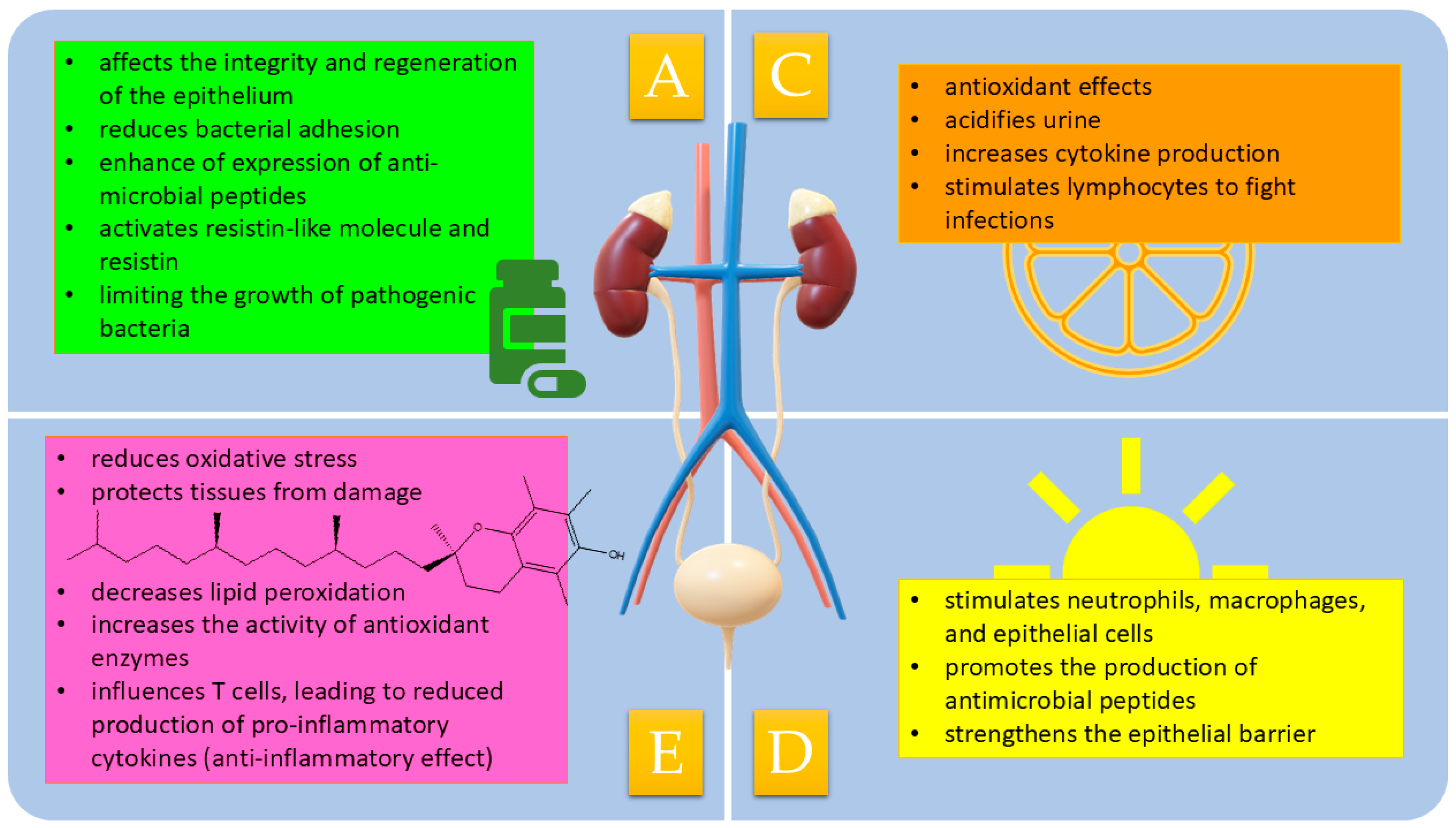 Biomolecules 15 00566 g001 Biomolecules 15 00566 g001