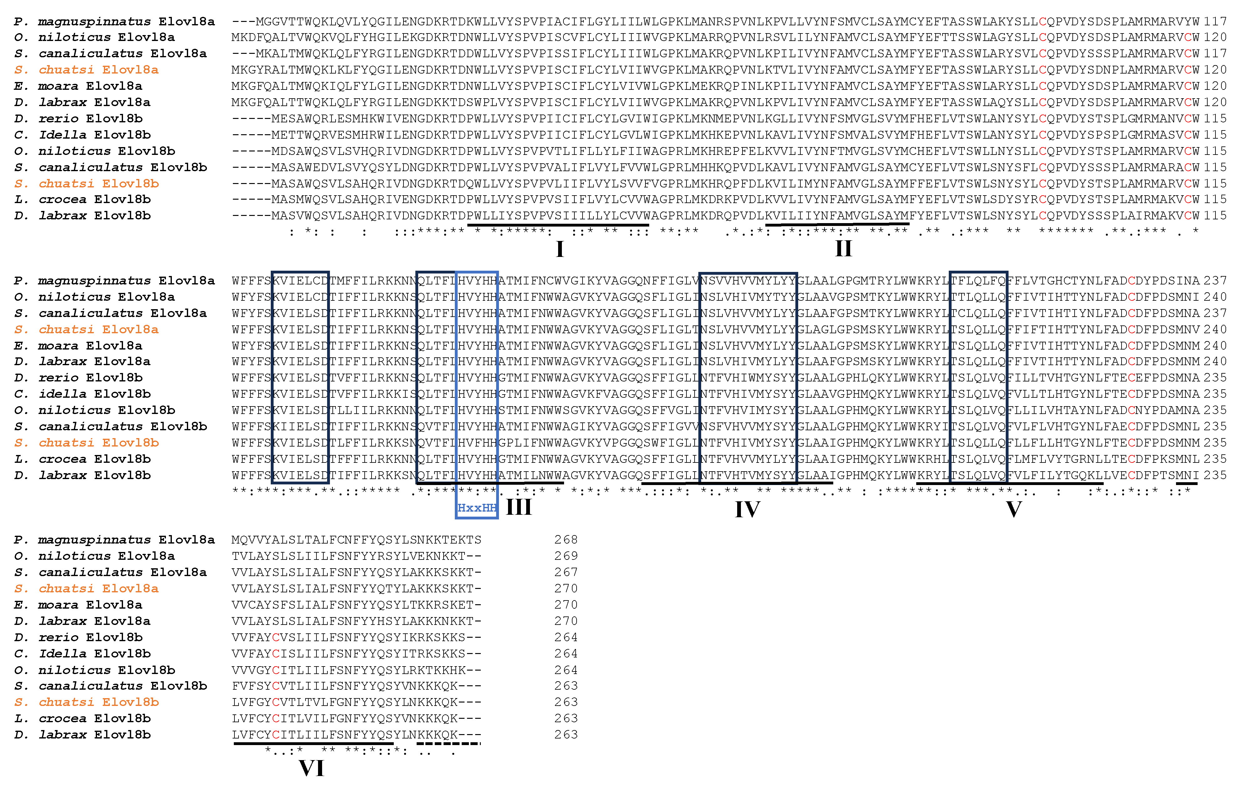 Biomolecules 15 00567 g001