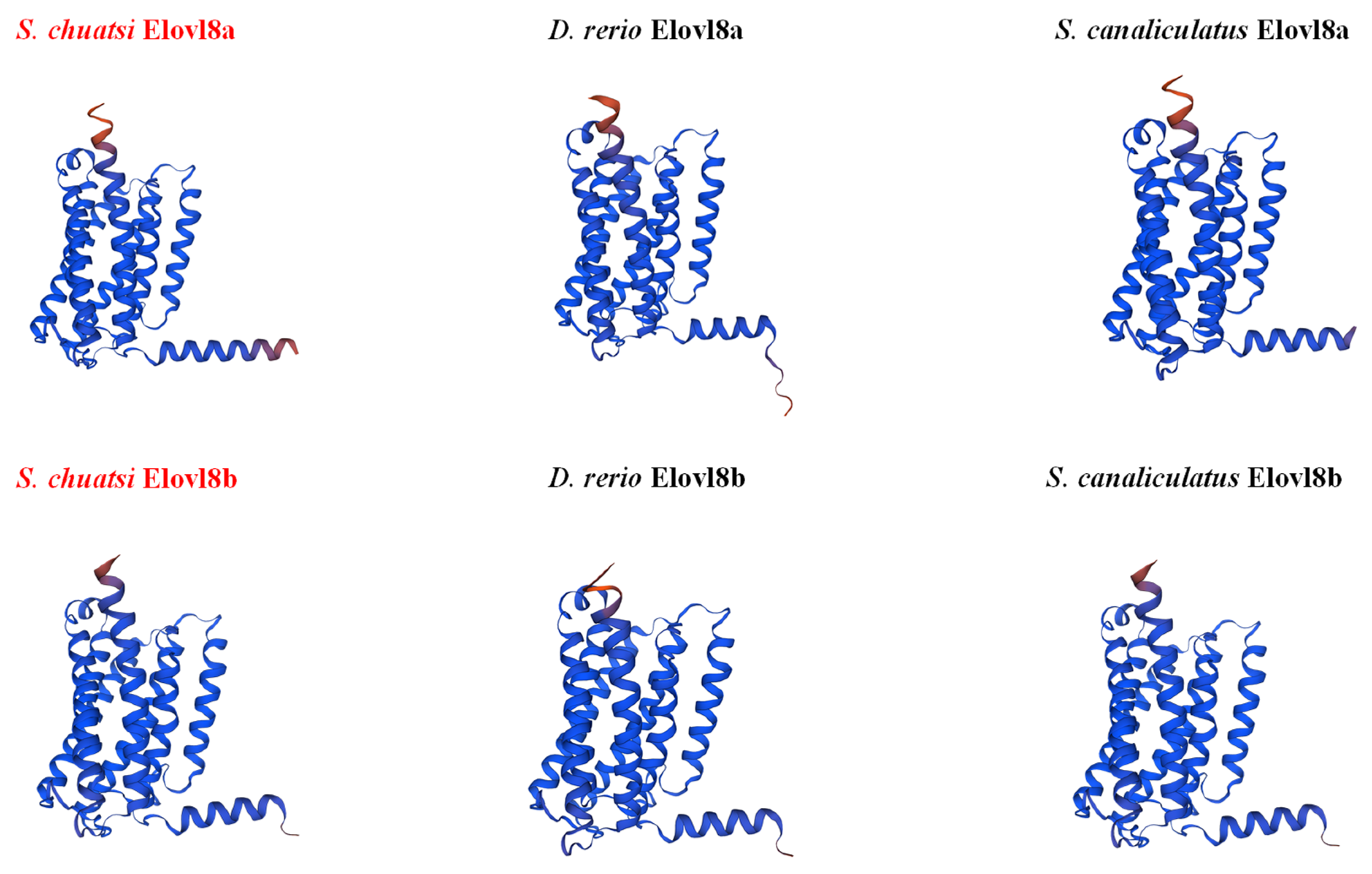 Biomolecules 15 00567 g002