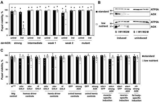Biomolecules 15 00570 g001