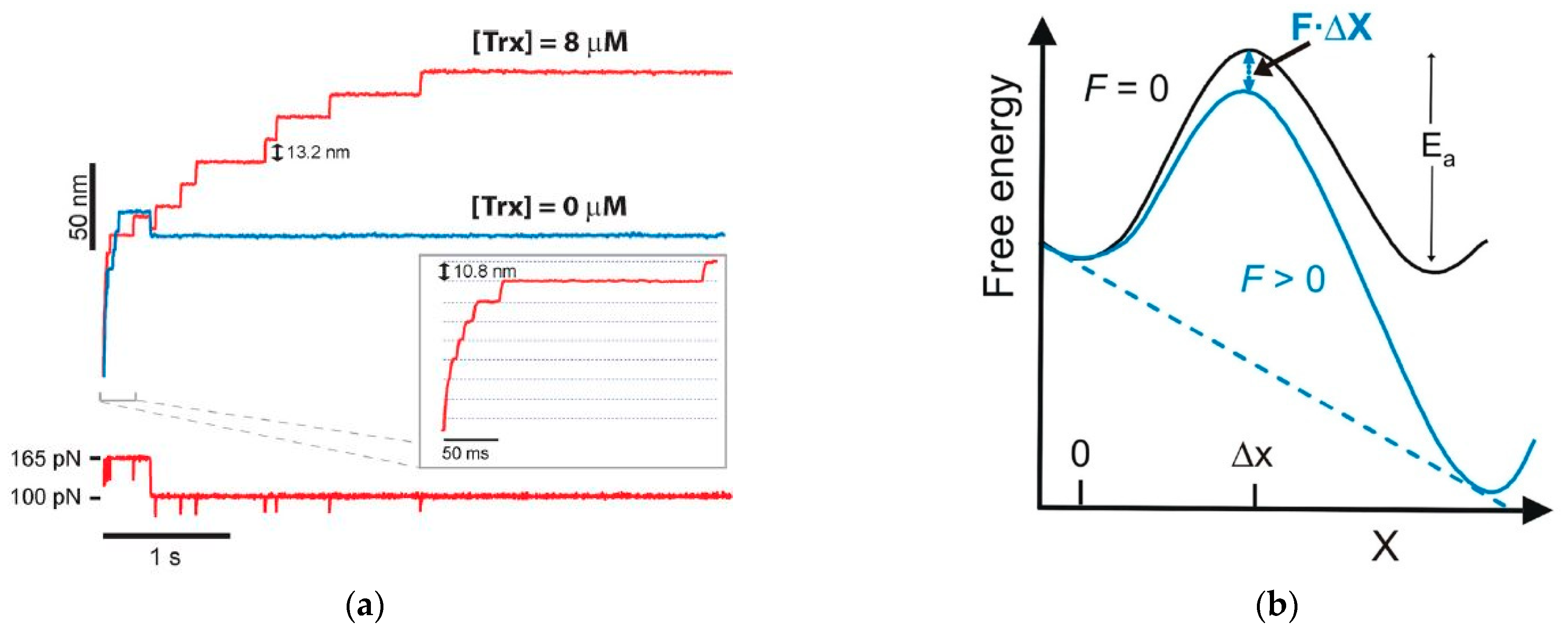 Biomolecules 15 00574 g002