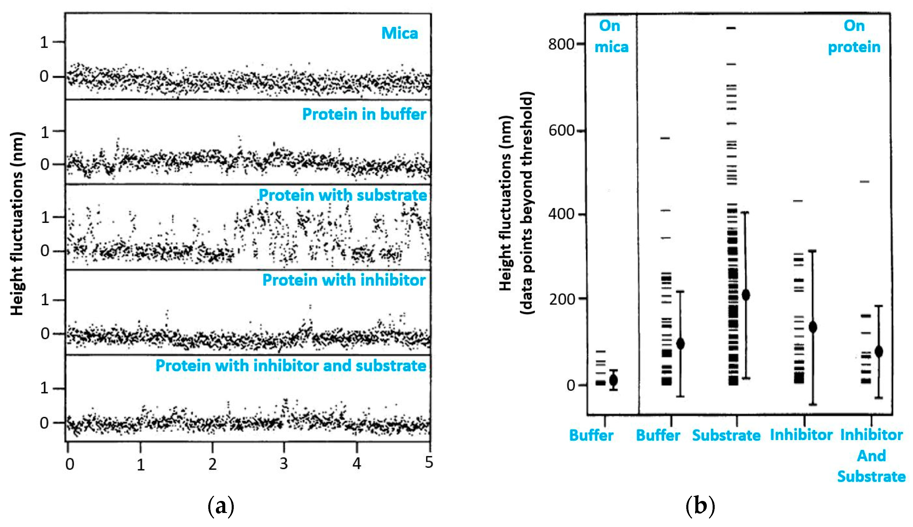 Biomolecules 15 00574 g004
