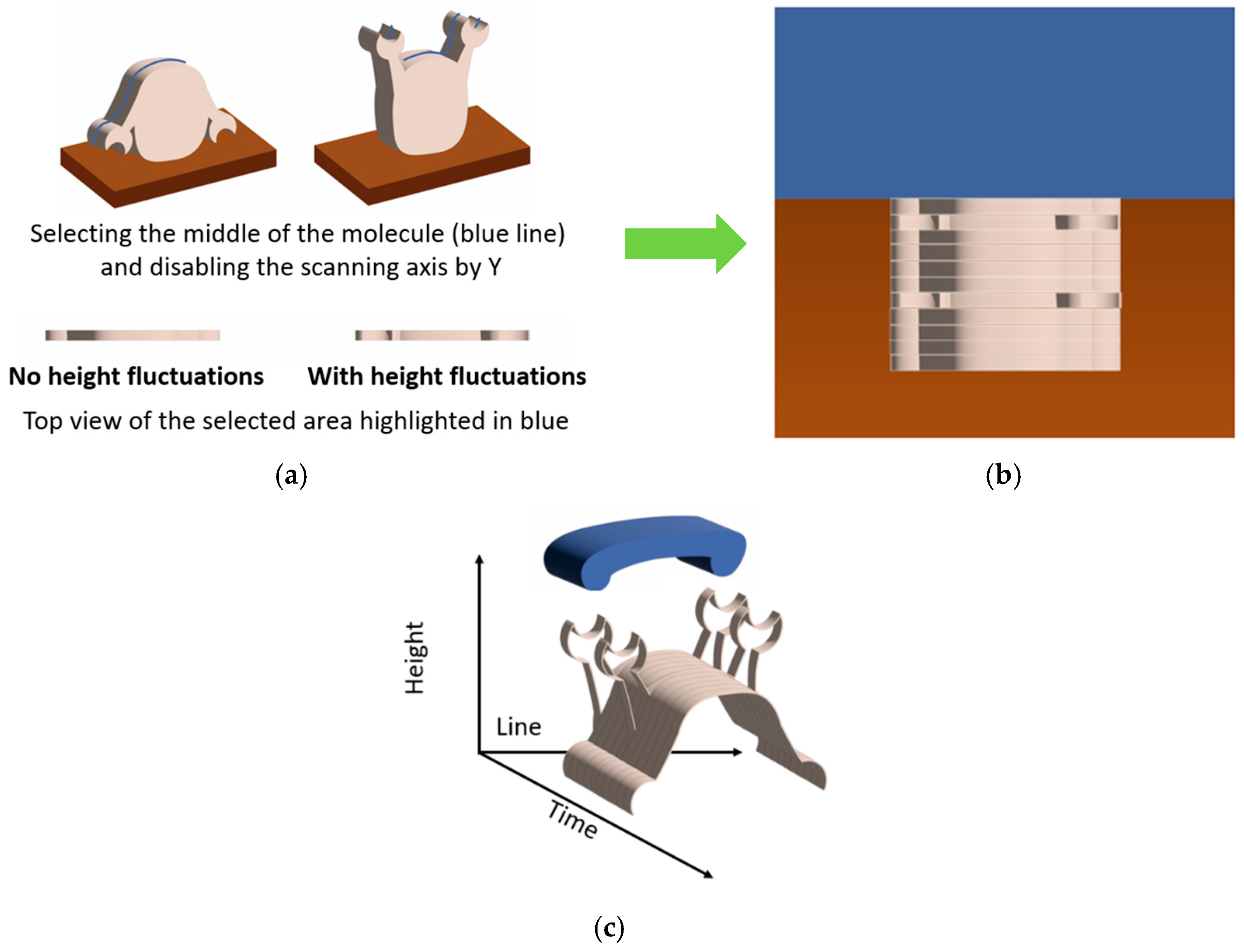 Biomolecules 15 00574 g005