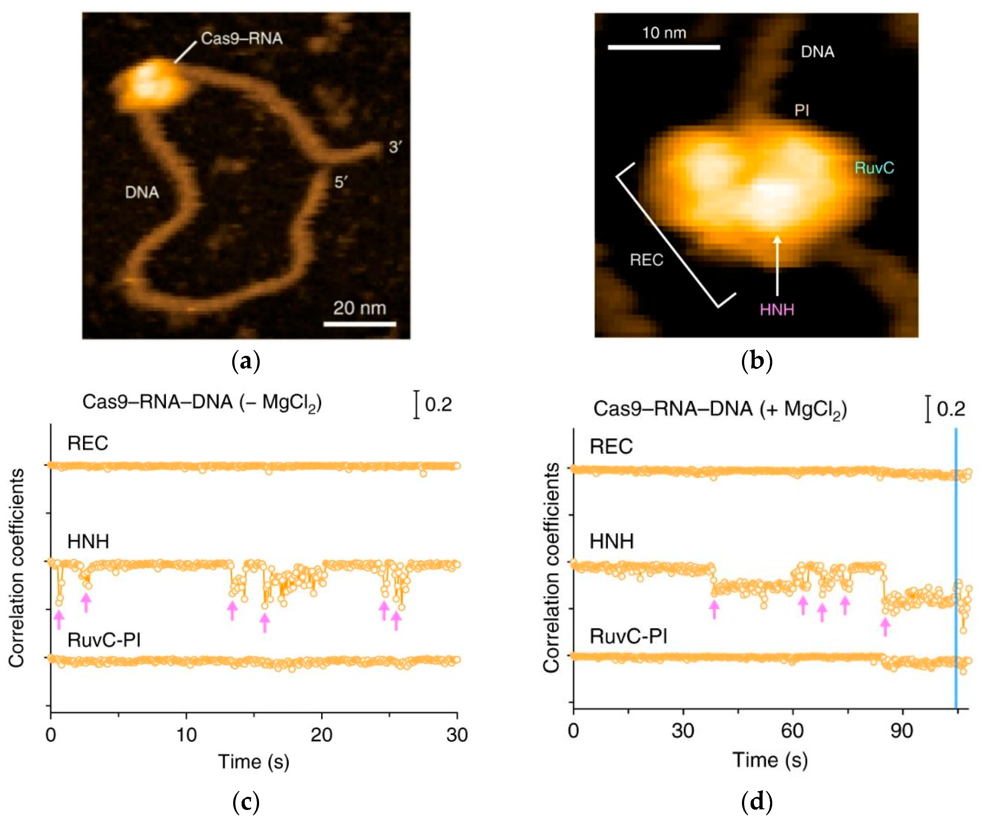 Biomolecules 15 00574 g006