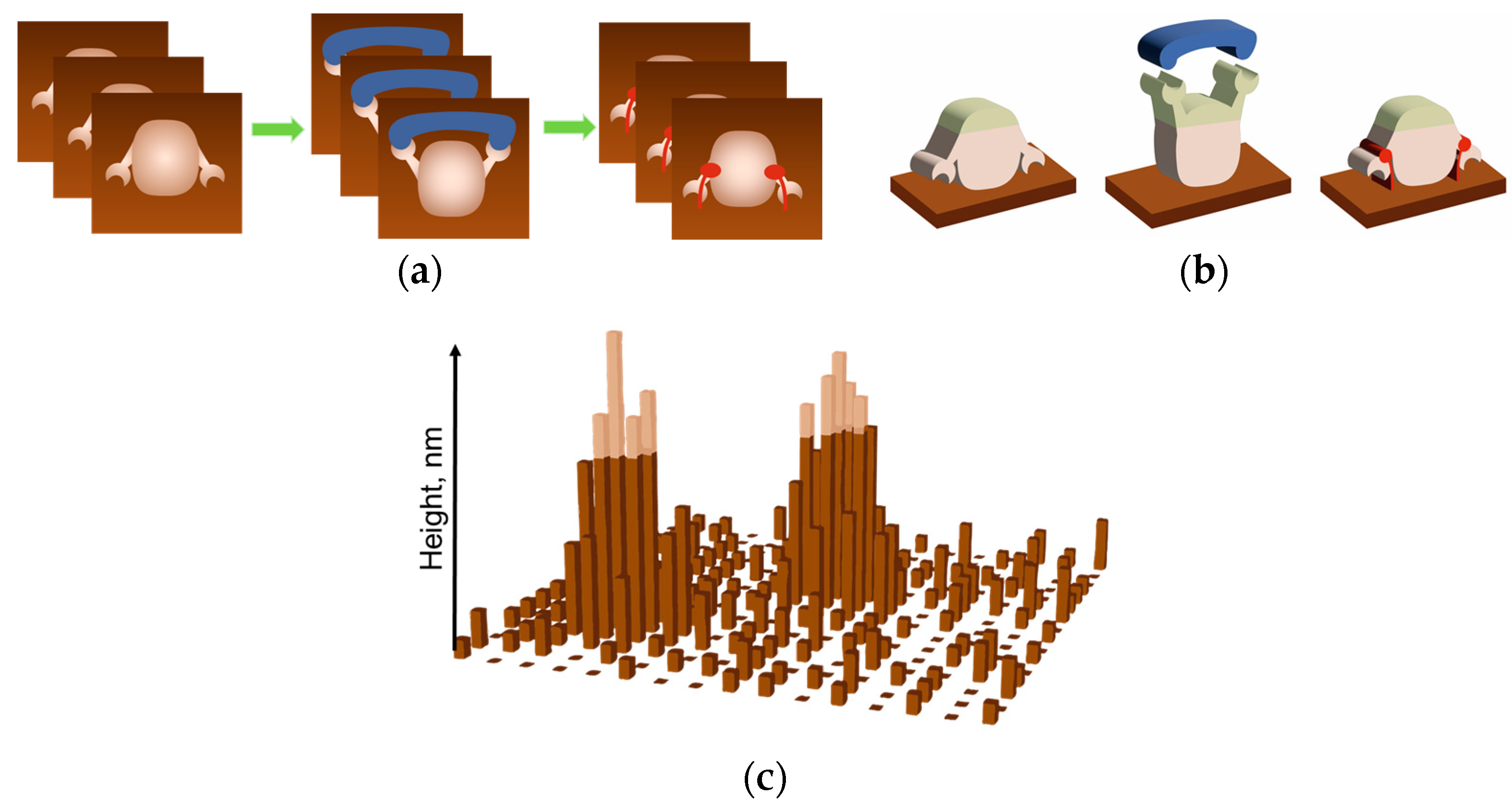 Biomolecules 15 00574 g008