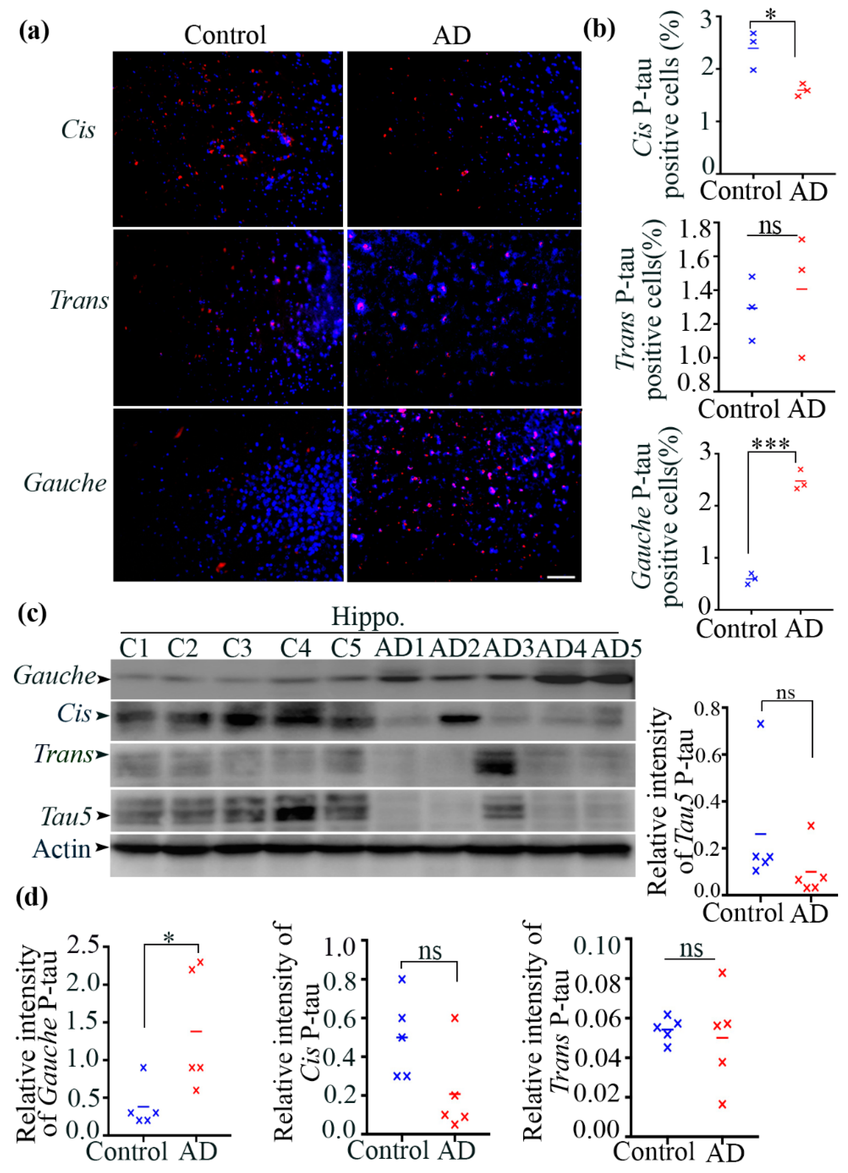 Biomolecules 15 00585 g001 Biomolecules 15 00585 g001